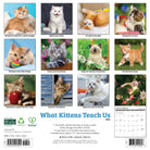 12"x12" 2026 wall calendar featuring kitten photography and spacious monthly layouts for notes and appointments