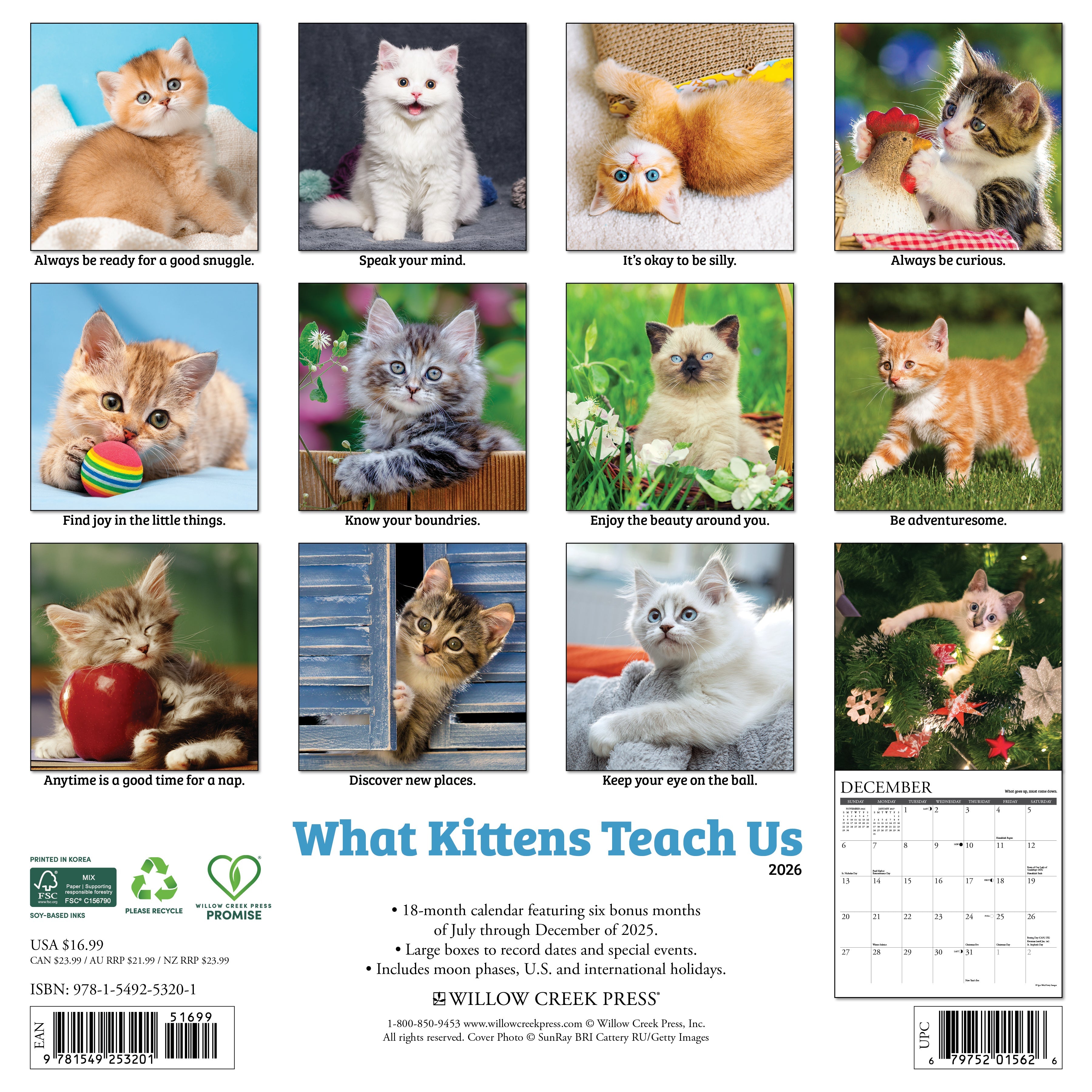 12"x12" 2026 wall calendar featuring kitten photography and spacious monthly layouts for notes and appointments