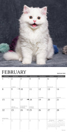 2026 Wall Calendar with large monthly date boxes, decorative images, and holidays, perfect for office or home organization and yearly planning