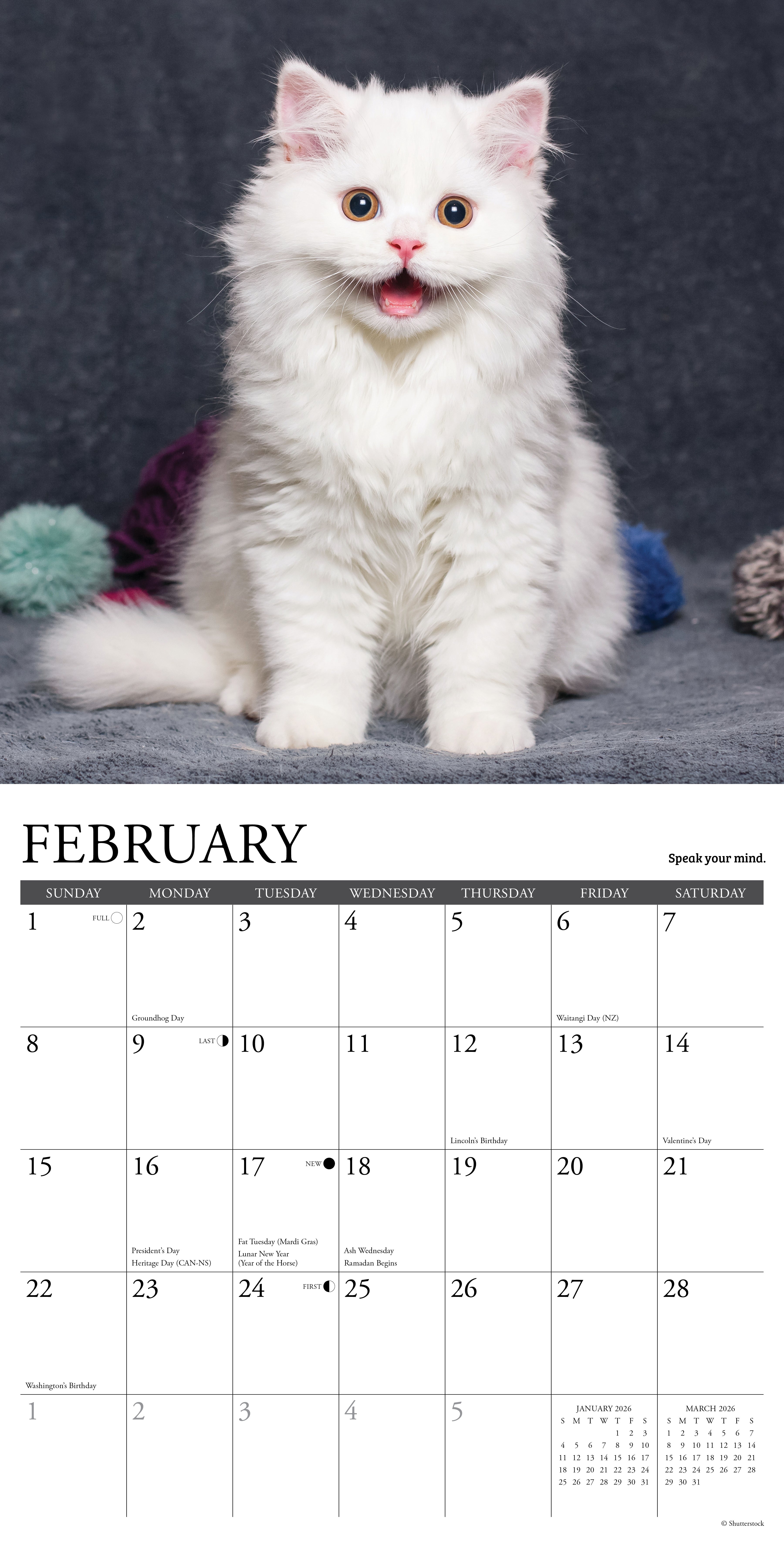 2026 Wall Calendar with large monthly date boxes, decorative images, and holidays, perfect for office or home organization and yearly planning