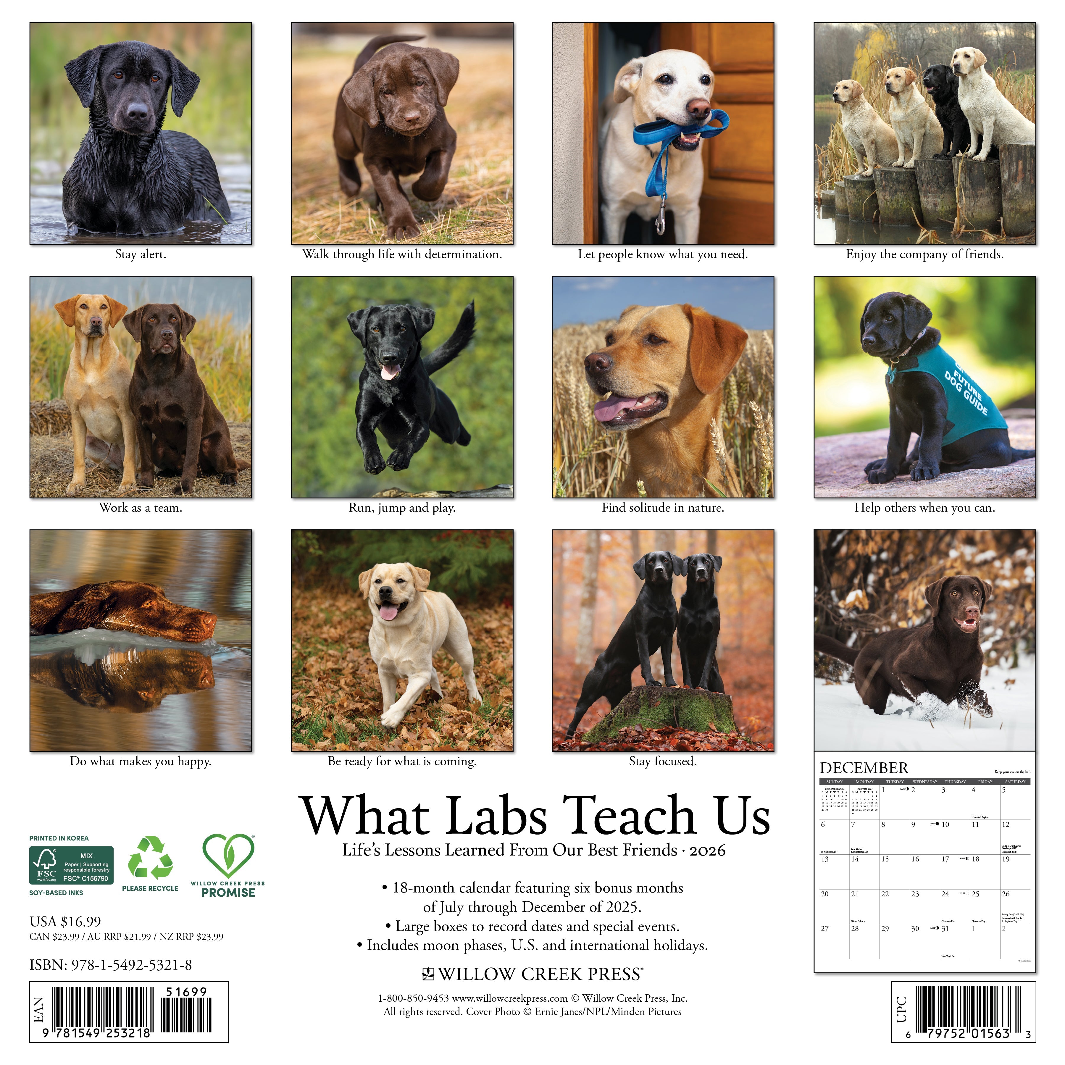 12"x12" 2026 wall calendar featuring Labrador dog photography and spacious monthly layouts for notes and appointments