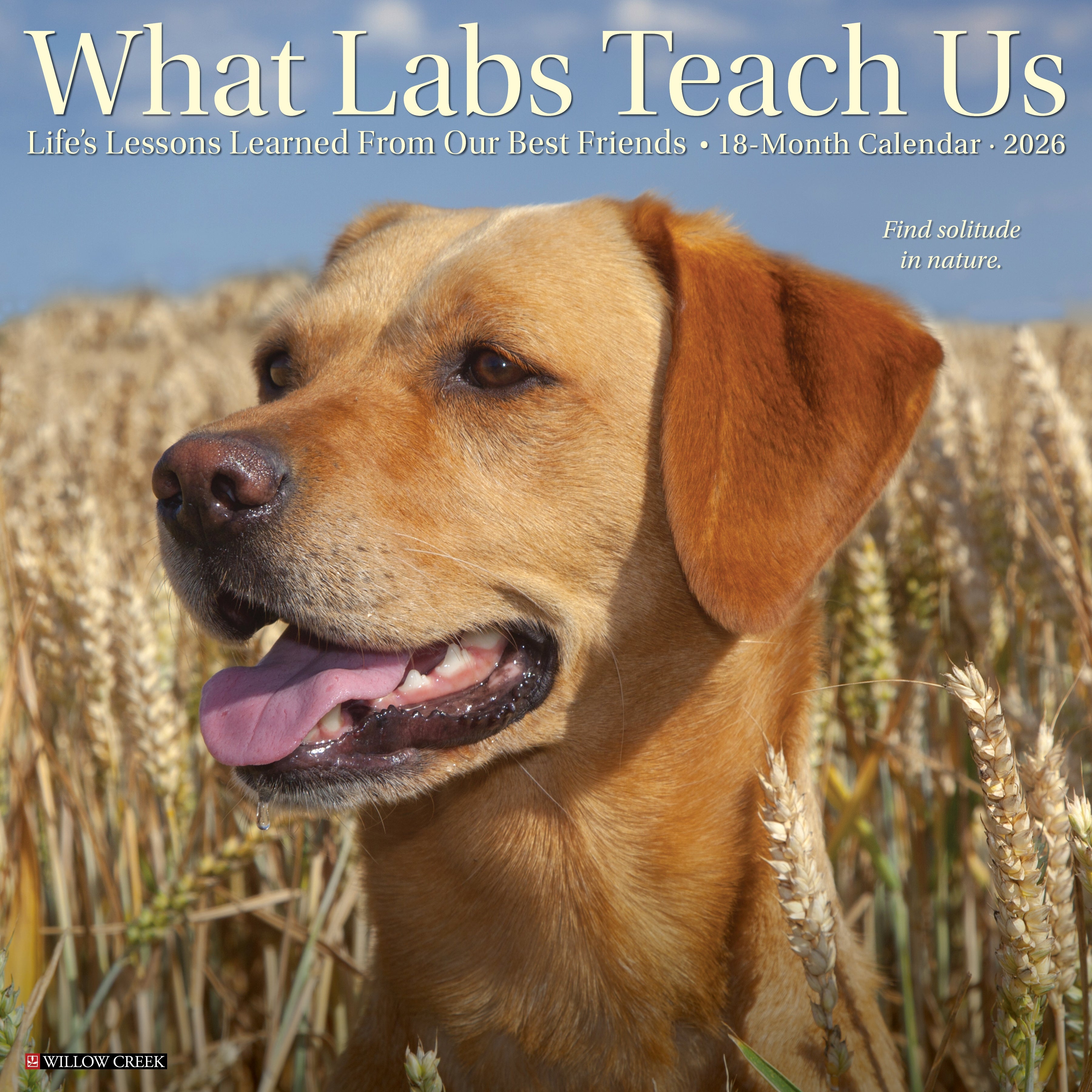 What Labs Teach Us 2026 wall calendar, 12x12 inches, with cute Labrador photos and monthly planning grids