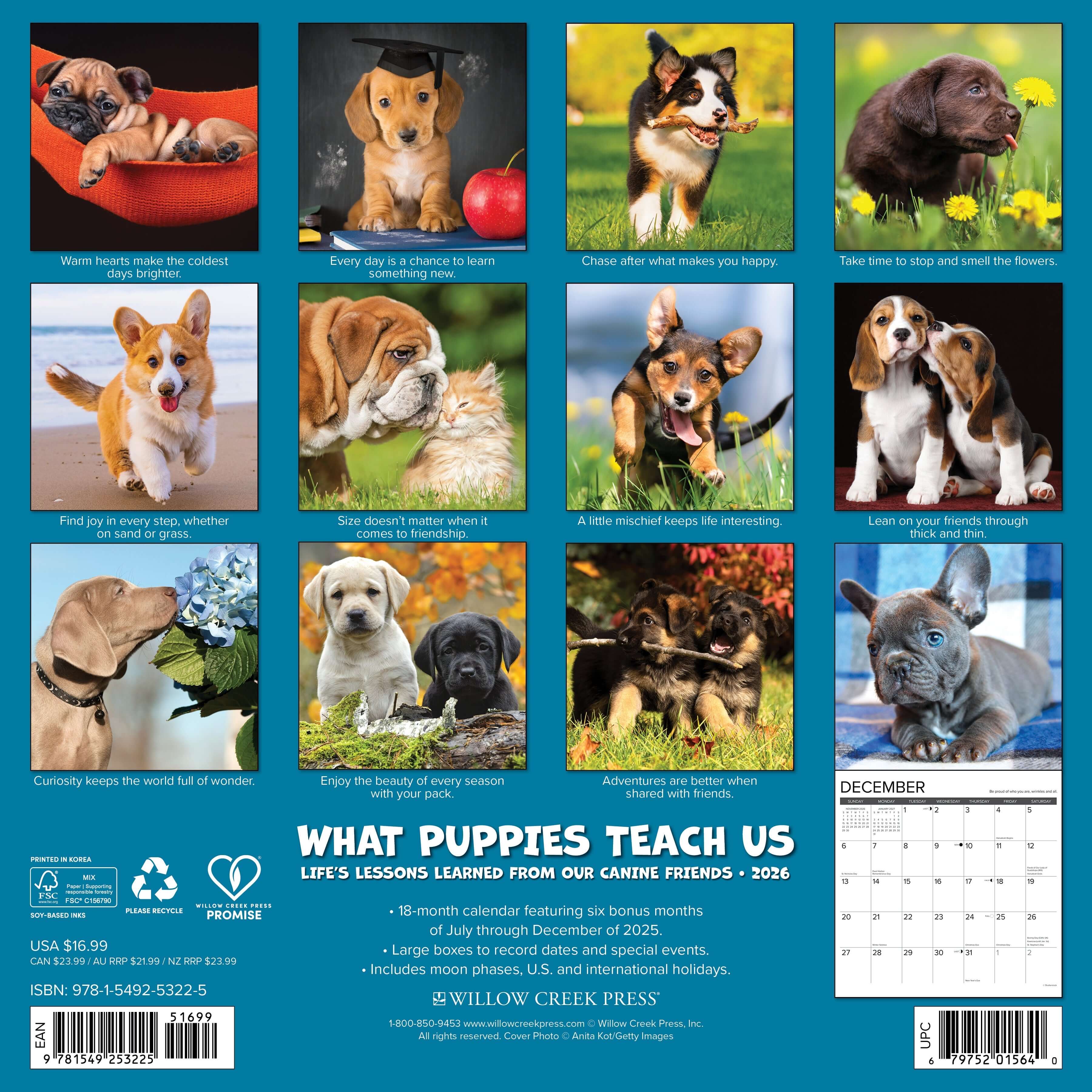 12"x12" 2026 wall calendar featuring puppy photography and spacious monthly layouts for notes and appointments