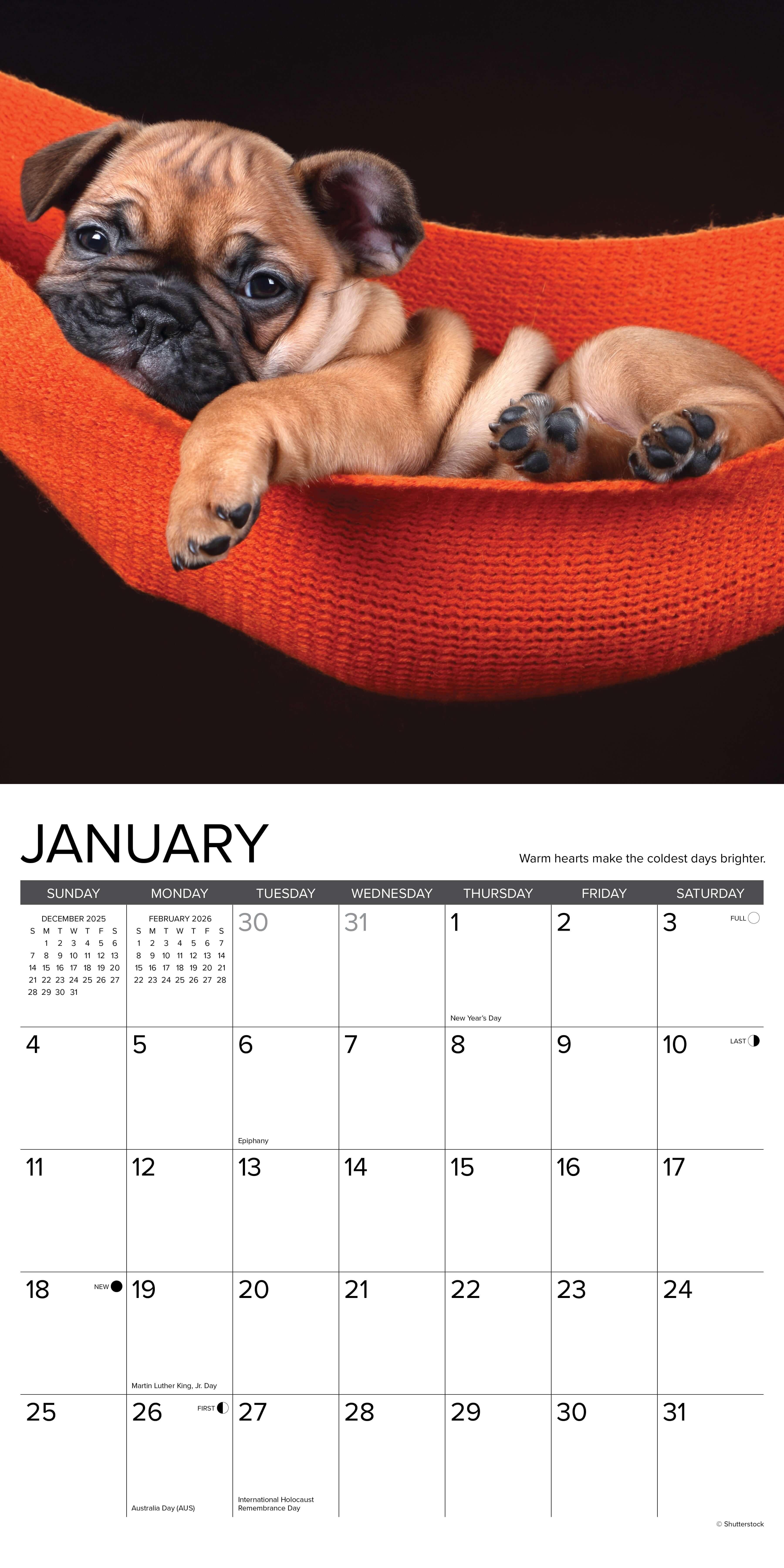 2026 Wall Calendar with large monthly date boxes, decorative images, and holidays, perfect for office or home organization and yearly planning