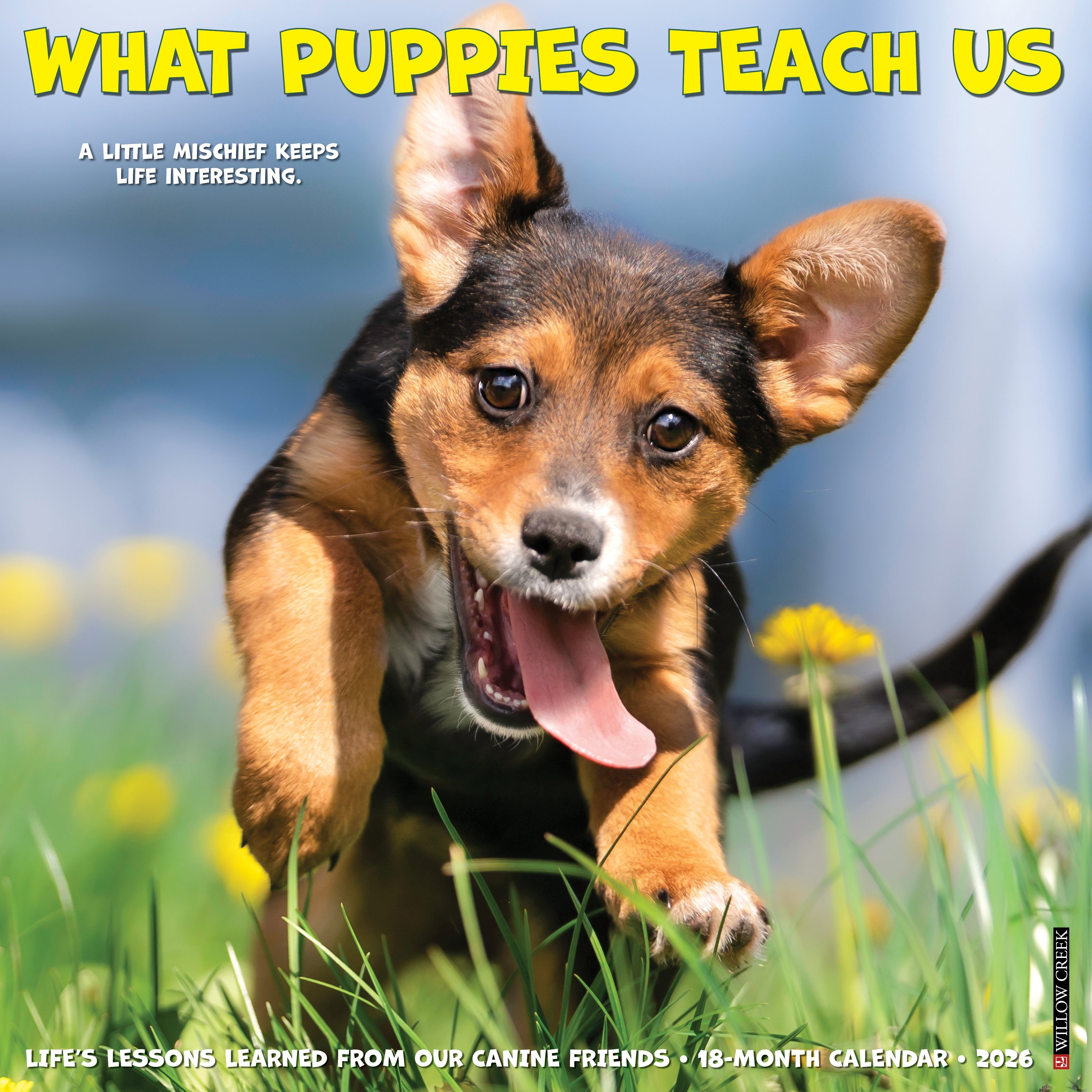What Puppies Teach Us 2026 wall calendar, 12x12 inches, with cute puppy photos and monthly planning grids