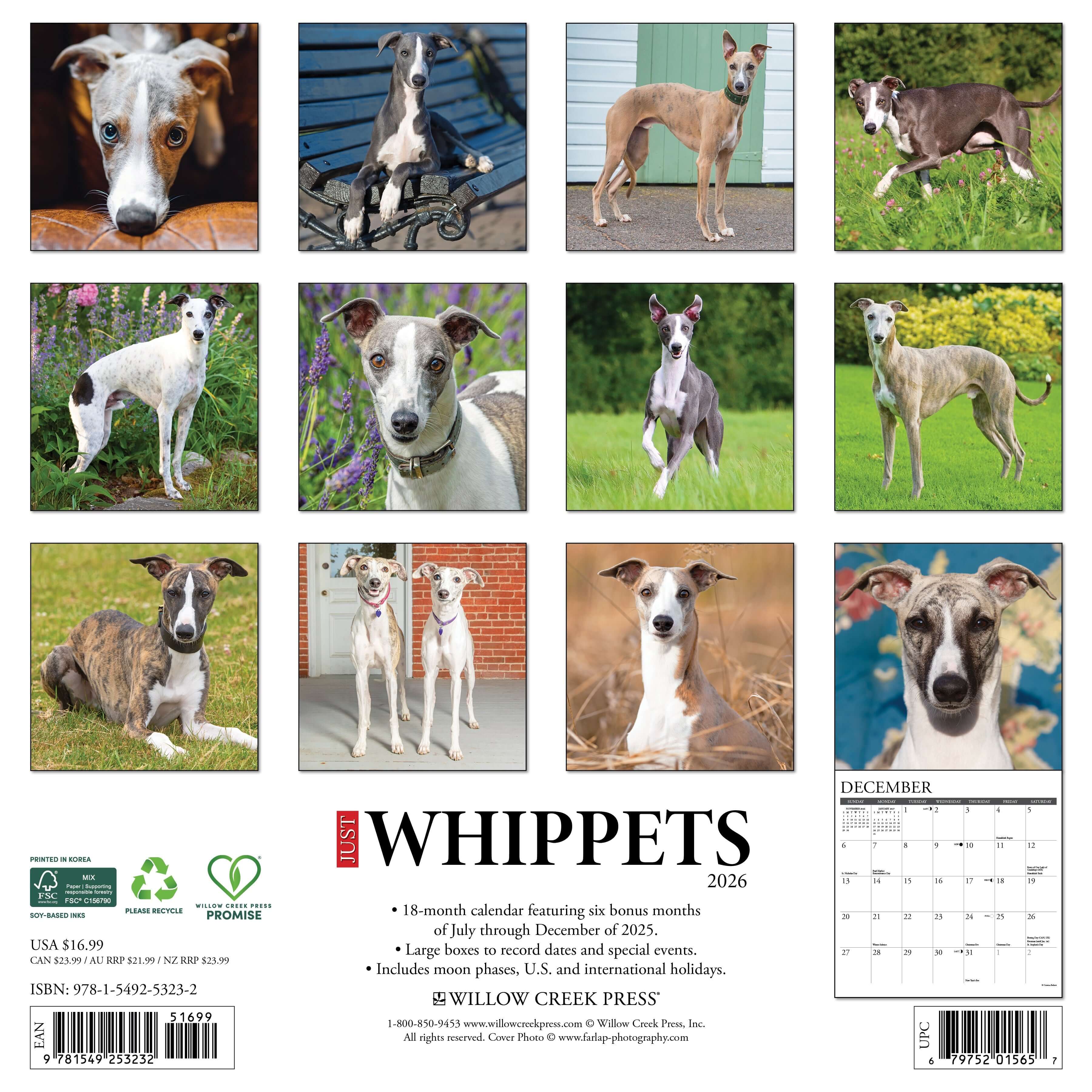 12"x12" 2026 wall calendar featuring Whippets with spacious planning layouts for notes and appointments