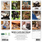 12"x12" 2026 wall calendar featuring cat photography, fun facts, and spacious monthly layouts