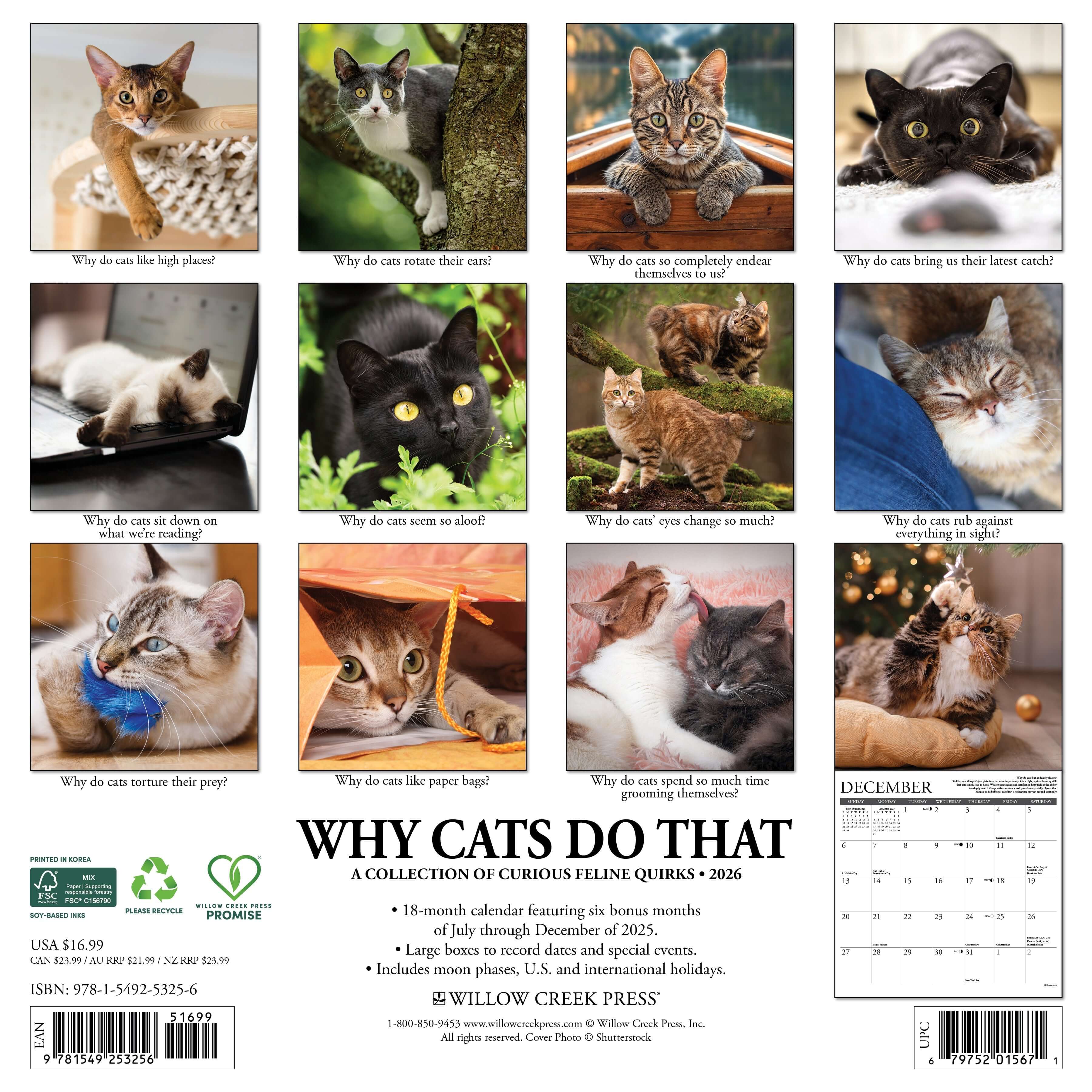 12"x12" 2026 wall calendar featuring cat photography, fun facts, and spacious monthly layouts