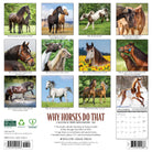 12"x12" 2026 wall calendar featuring horse photography, facts, and spacious planning grids