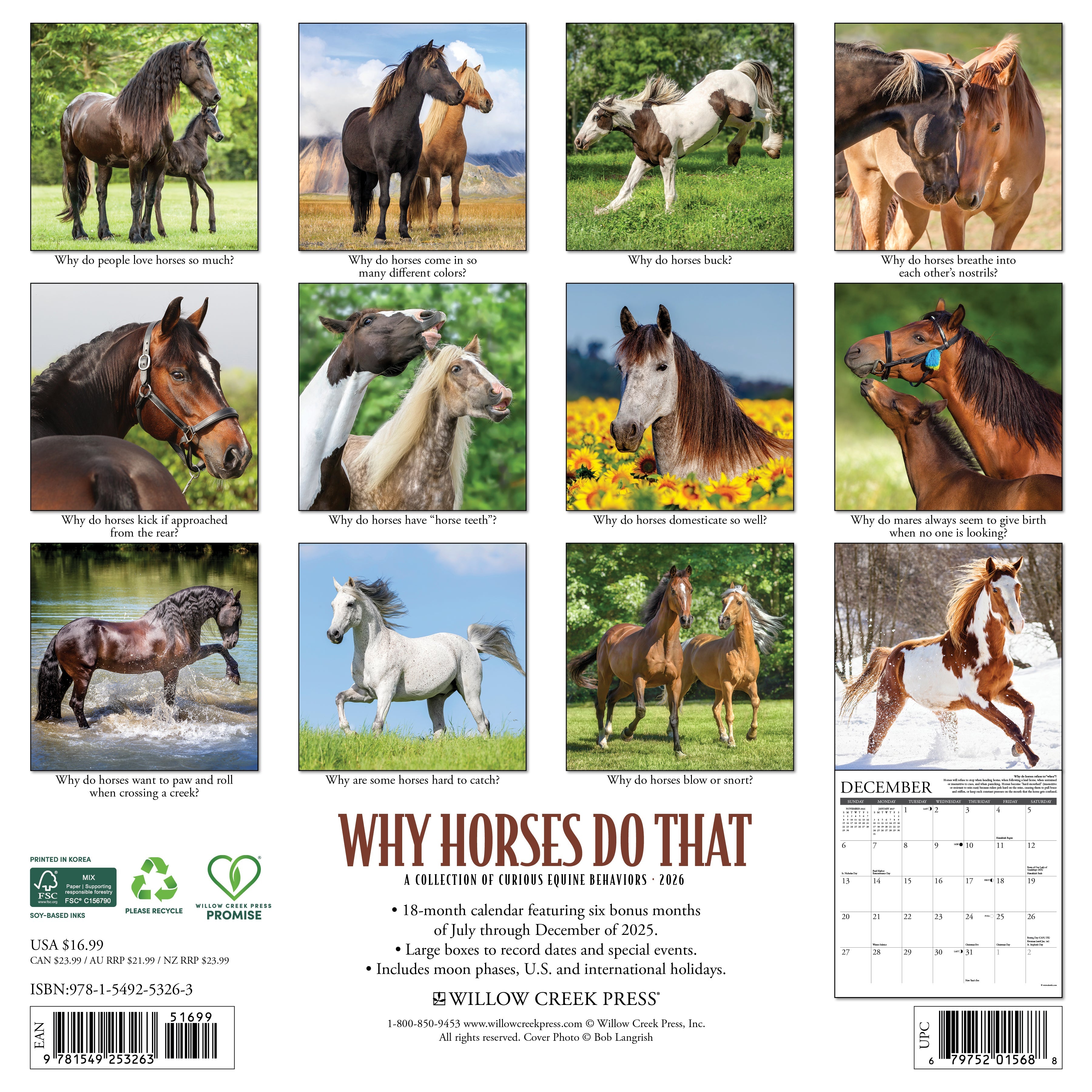 12"x12" 2026 wall calendar featuring horse photography, facts, and spacious planning grids