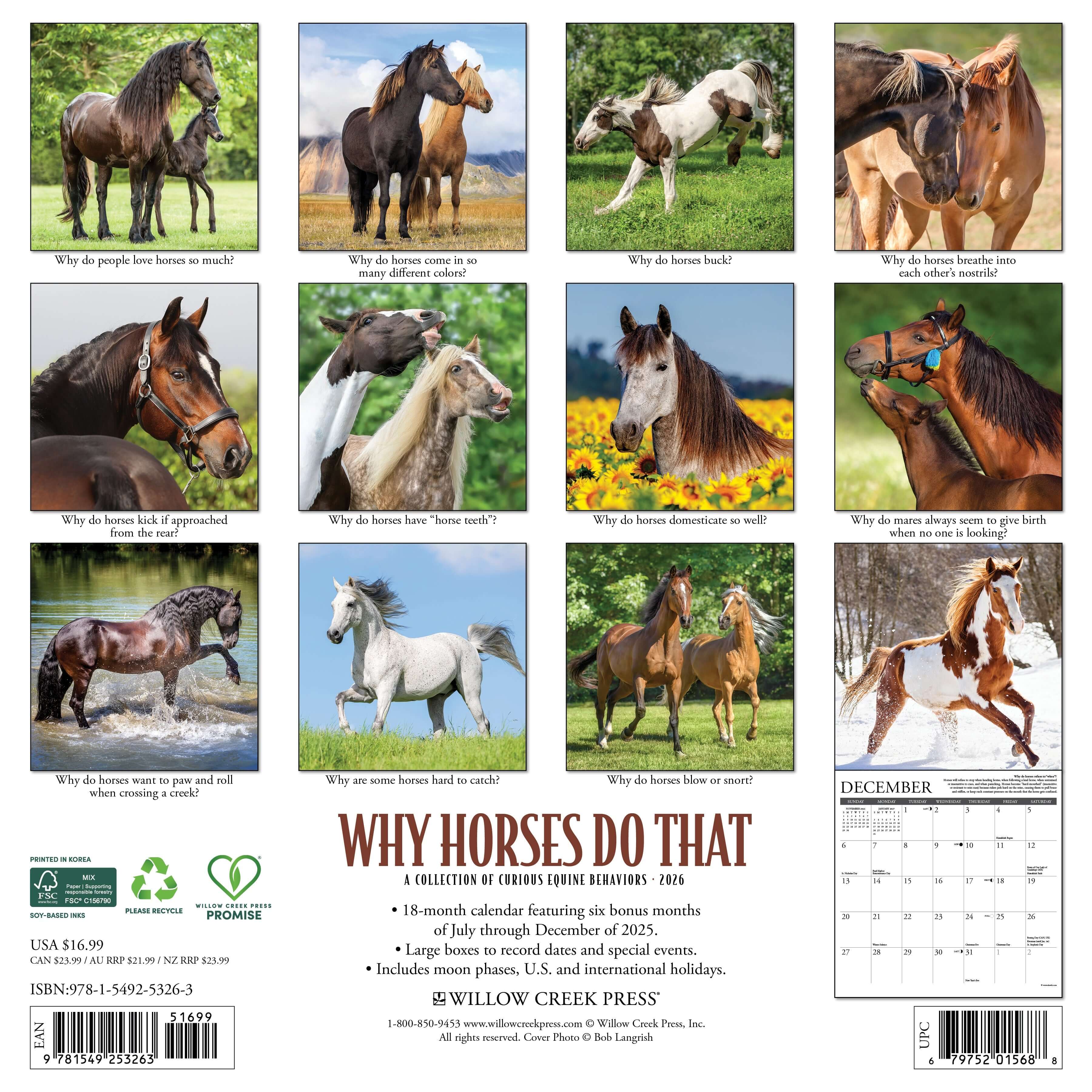 12"x12" 2026 wall calendar featuring horse photography, facts, and spacious planning grids