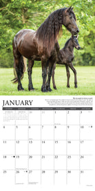 2026 Wall Calendar featuring majestic horses in nature with January month layout at the bottom.