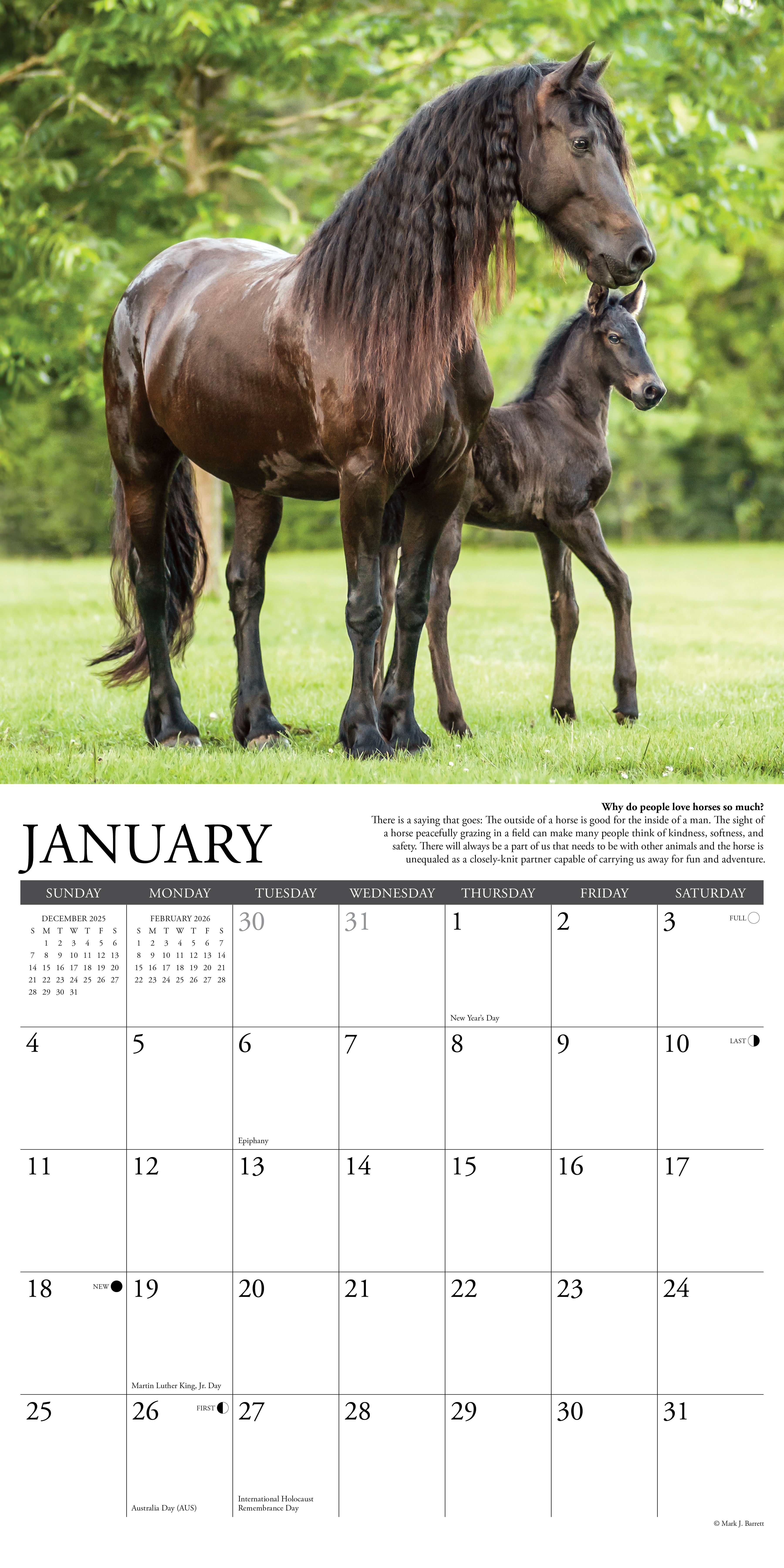 2026 Wall Calendar featuring majestic horses in nature with January month layout at the bottom.