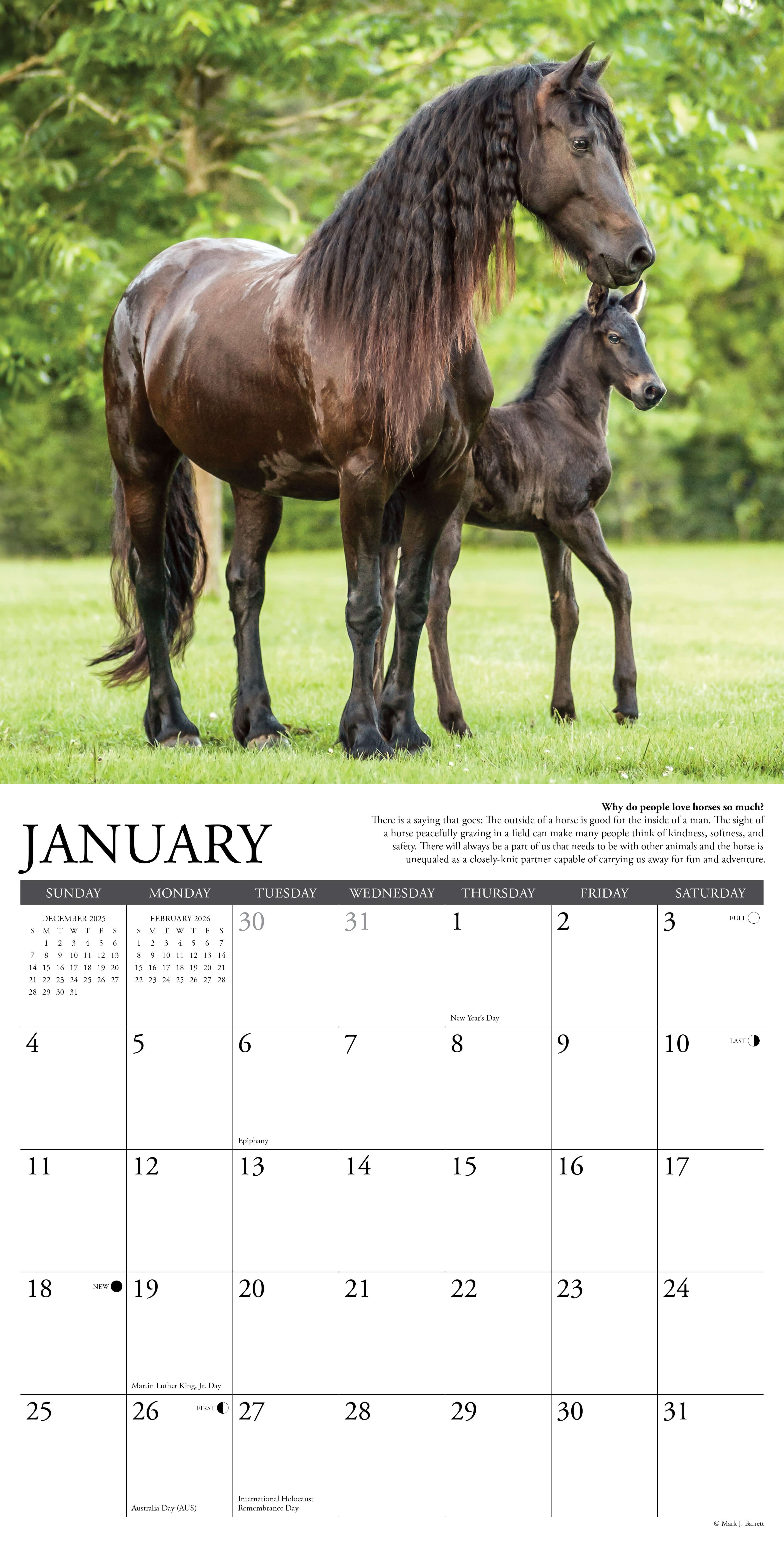 2026 Wall Calendar featuring majestic horses in nature with January month layout at the bottom.