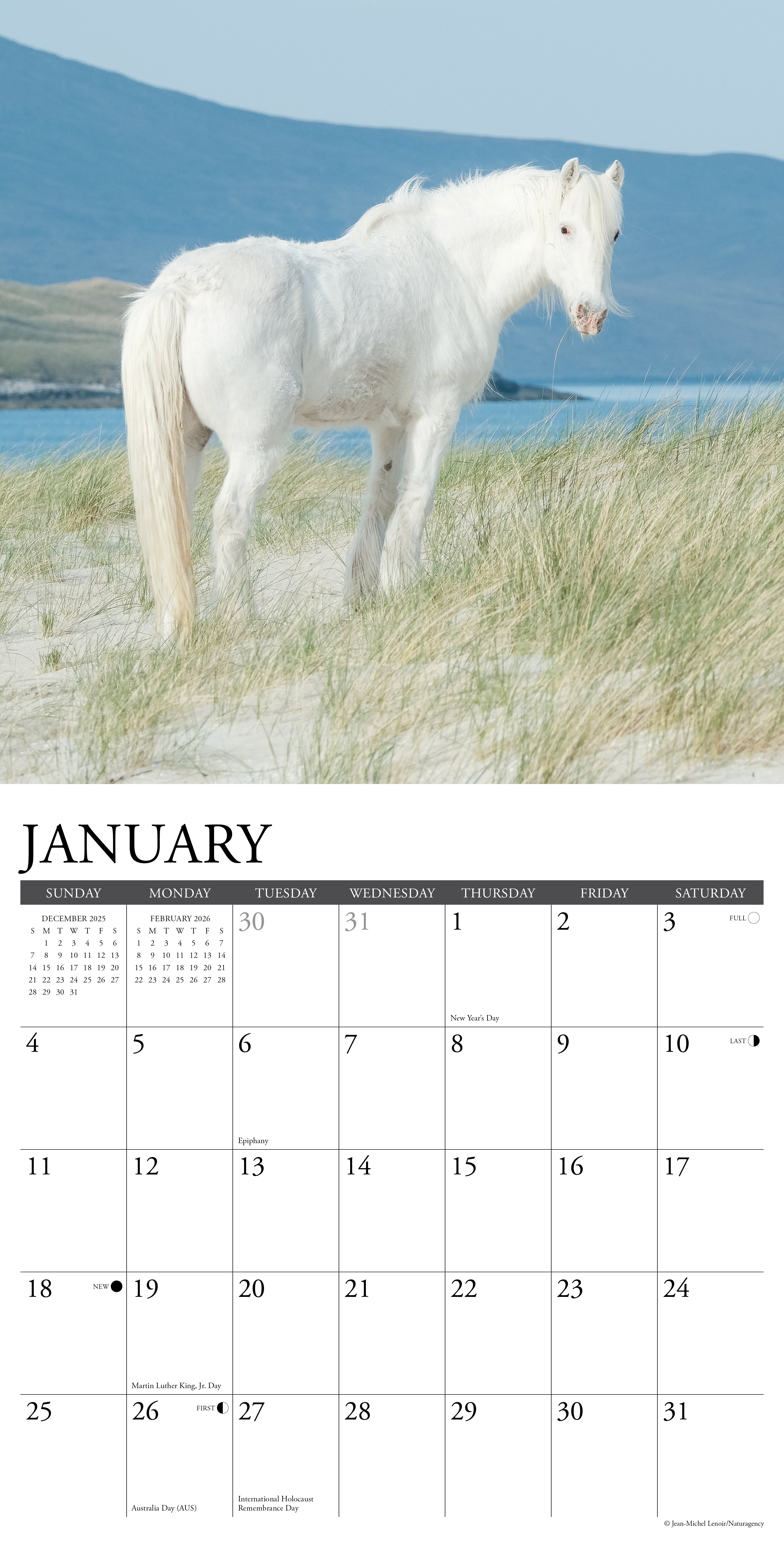 A stunning white wild horse stands on a sandy beach in January, featured in the 2026 Wall Calendar.