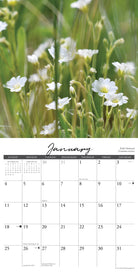Wildflowers 2026 Wall Calendar January page featuring delicate white blossoms and a clean layout.
