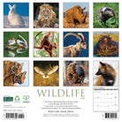 12"x12" 2026 wall calendar showcasing wildlife scenes with spacious grids for notes and appointments