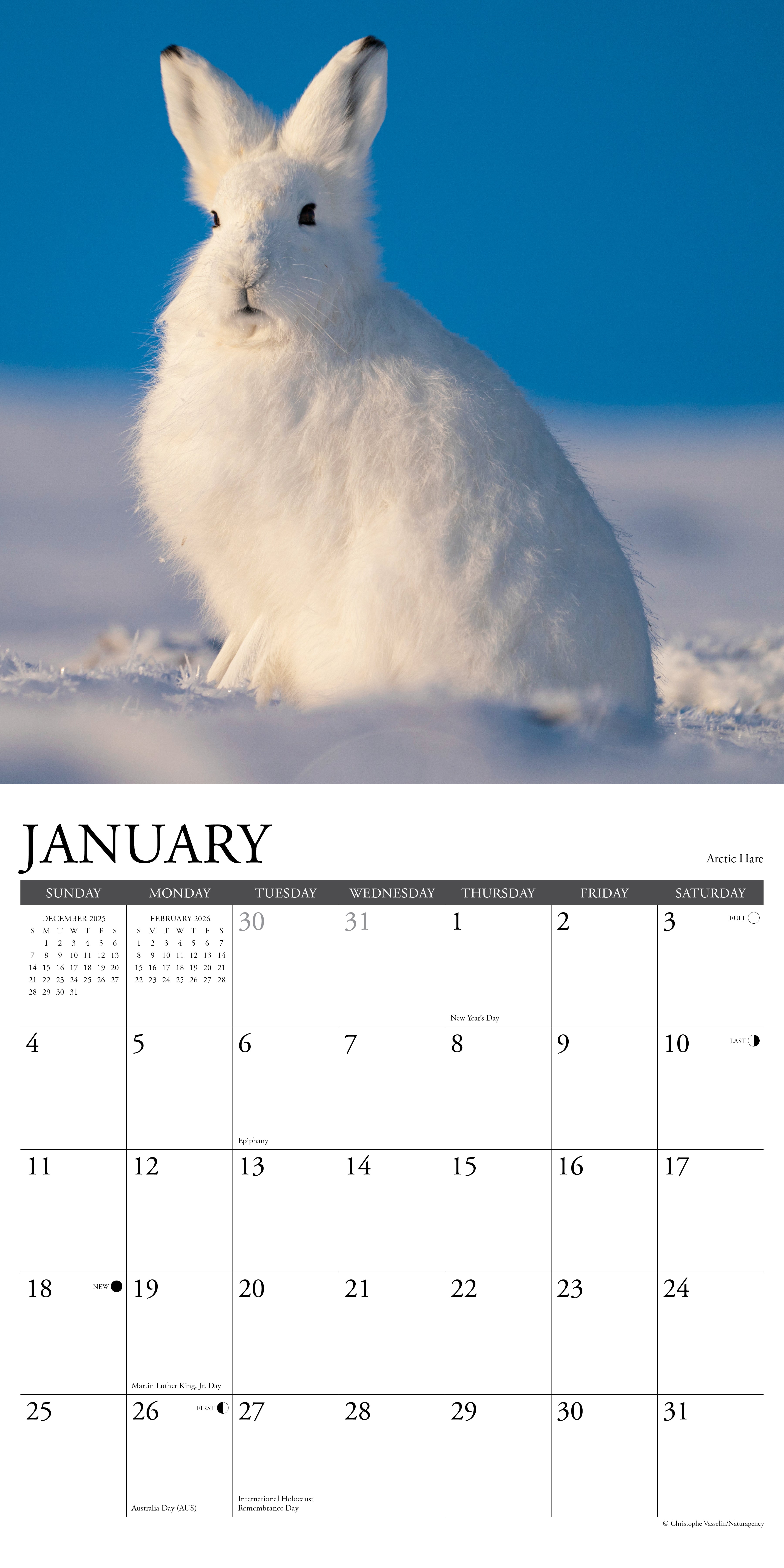12x12 2026 wall calendar featuring colorful photography and monthly planning