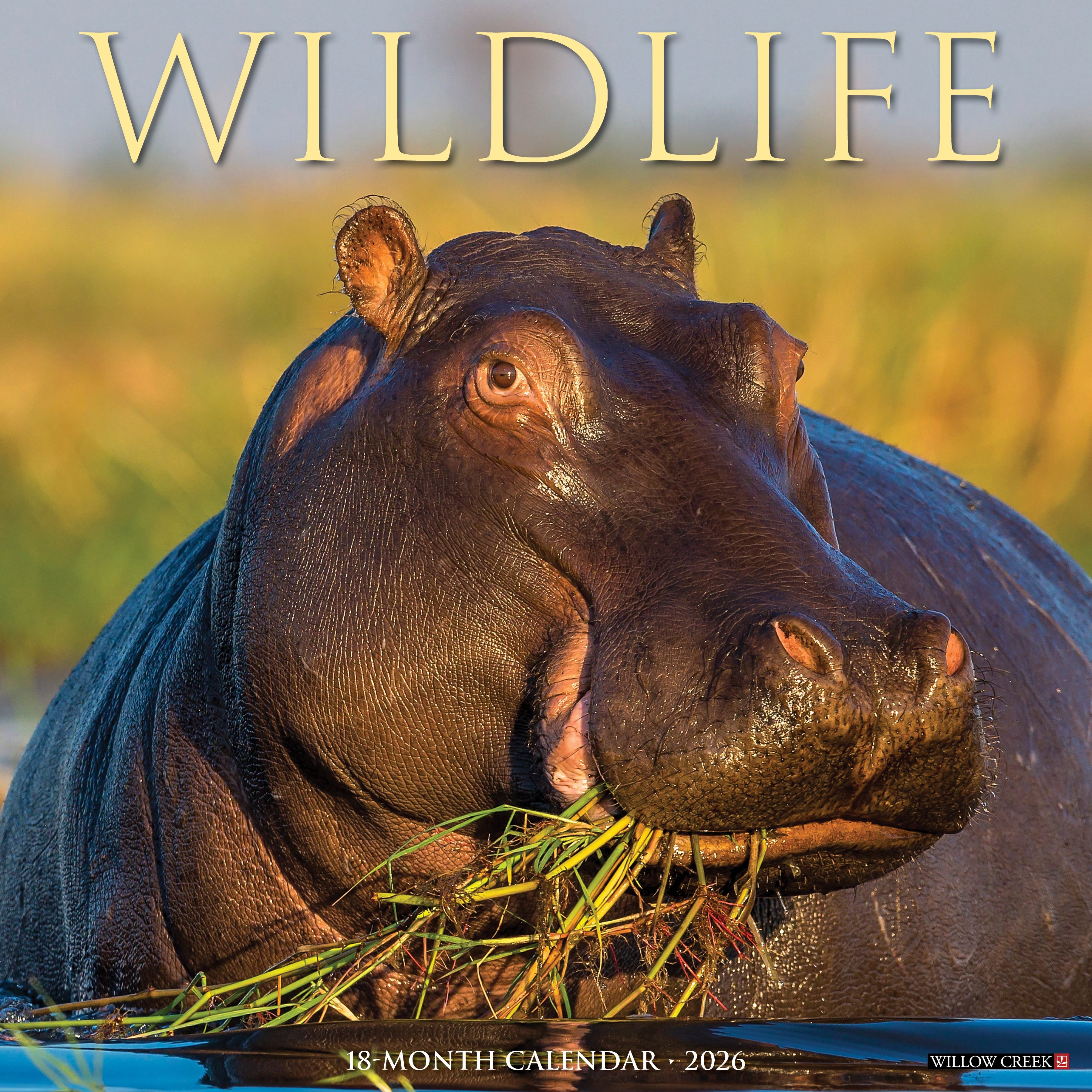 Wildlife 2026 wall calendar, 12x12 inches, featuring stunning animal photography and large monthly planning grids