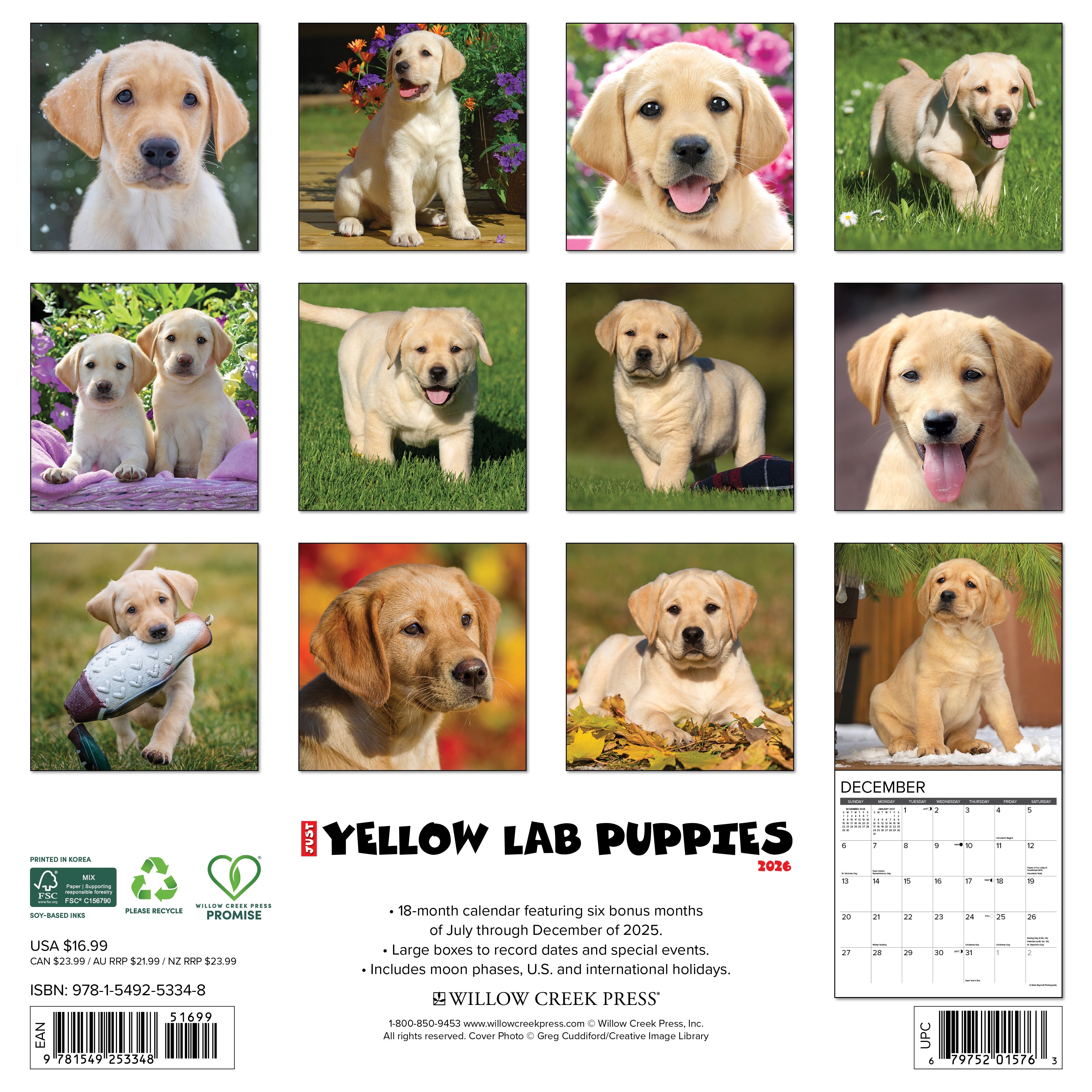Dog-themed 2026 wall calendar for home or office with large monthly grids