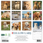 Dog-themed 2026 wall calendar for home or office with large monthly grids