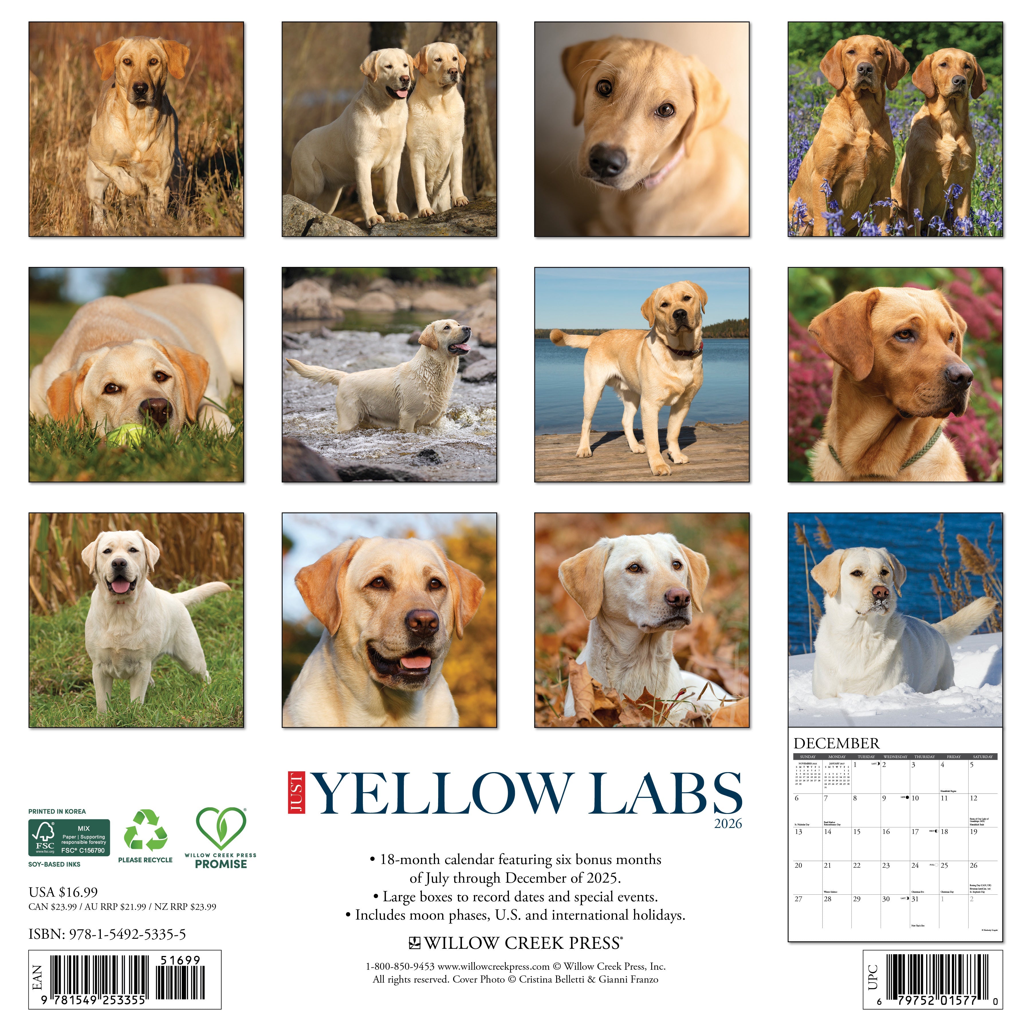 Dog-themed 2026 wall calendar for home or office with large monthly grids