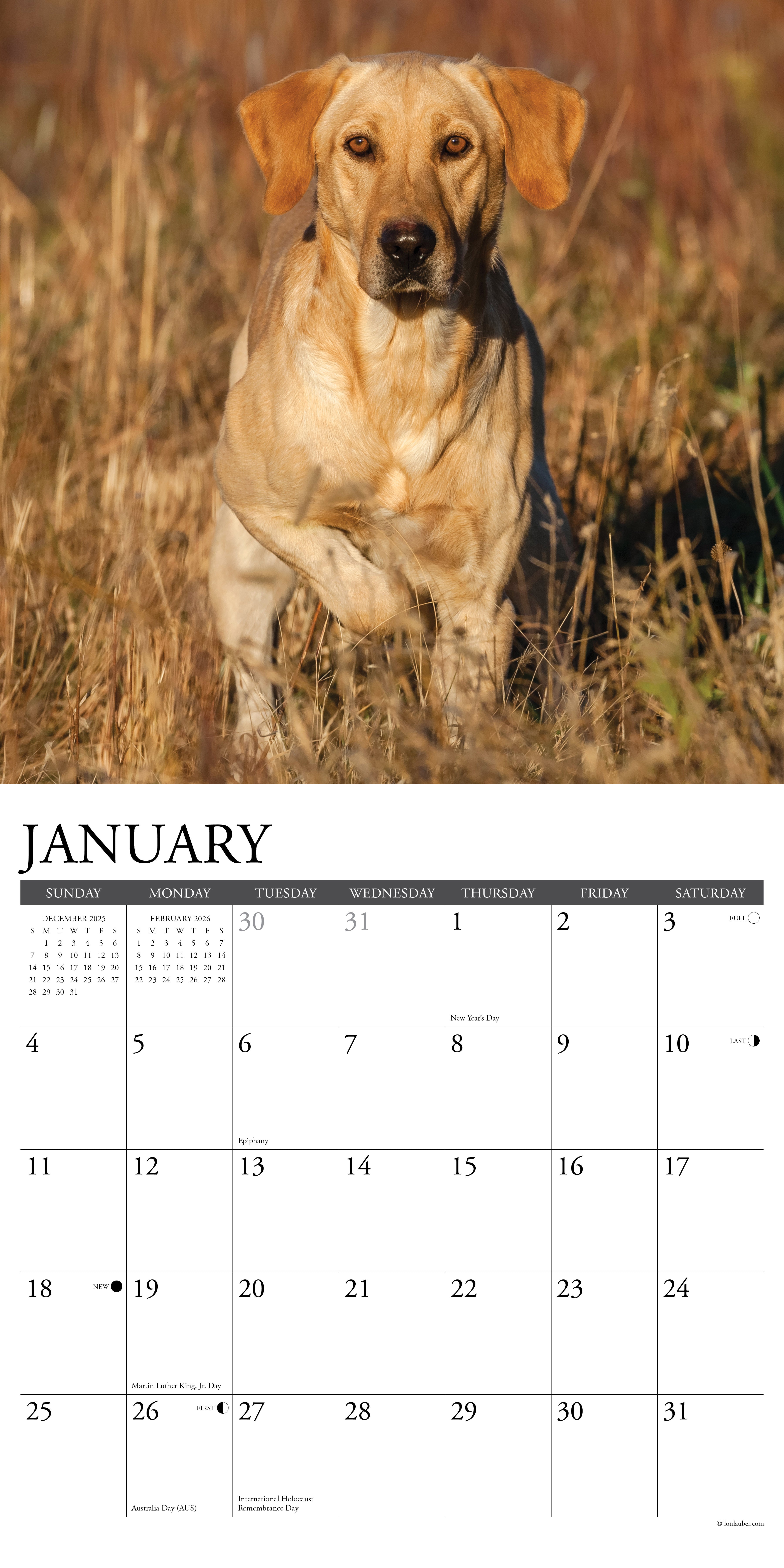 2026 wall calendar with Yellow Lab dog images for planning and note-taking