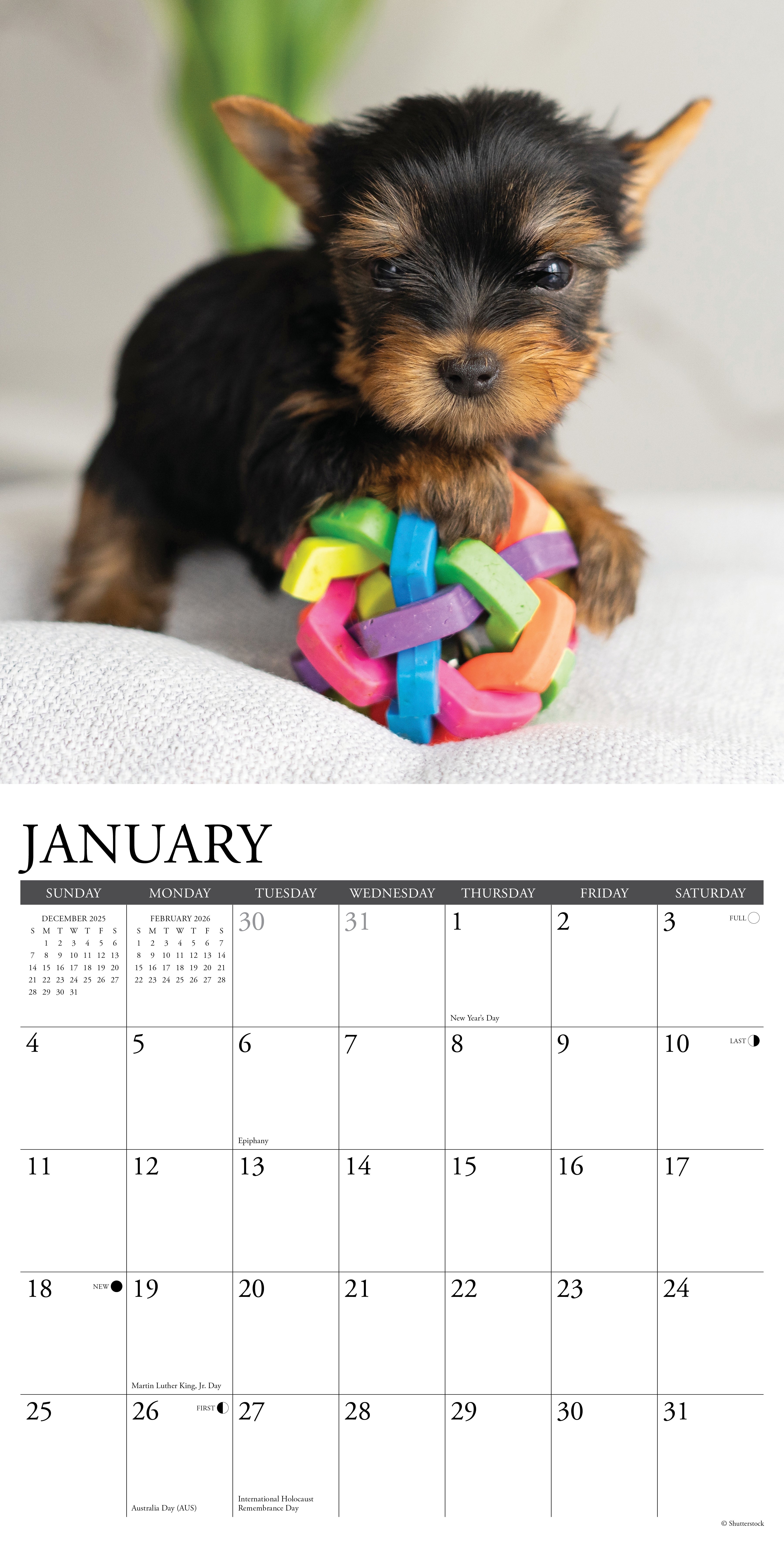 Cute Yorkie Puppies 2026 calendar for planning, appointments, and goal tracking