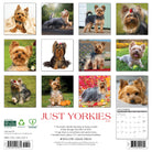 Dog-themed 2026 wall calendar for home or office with large monthly grids