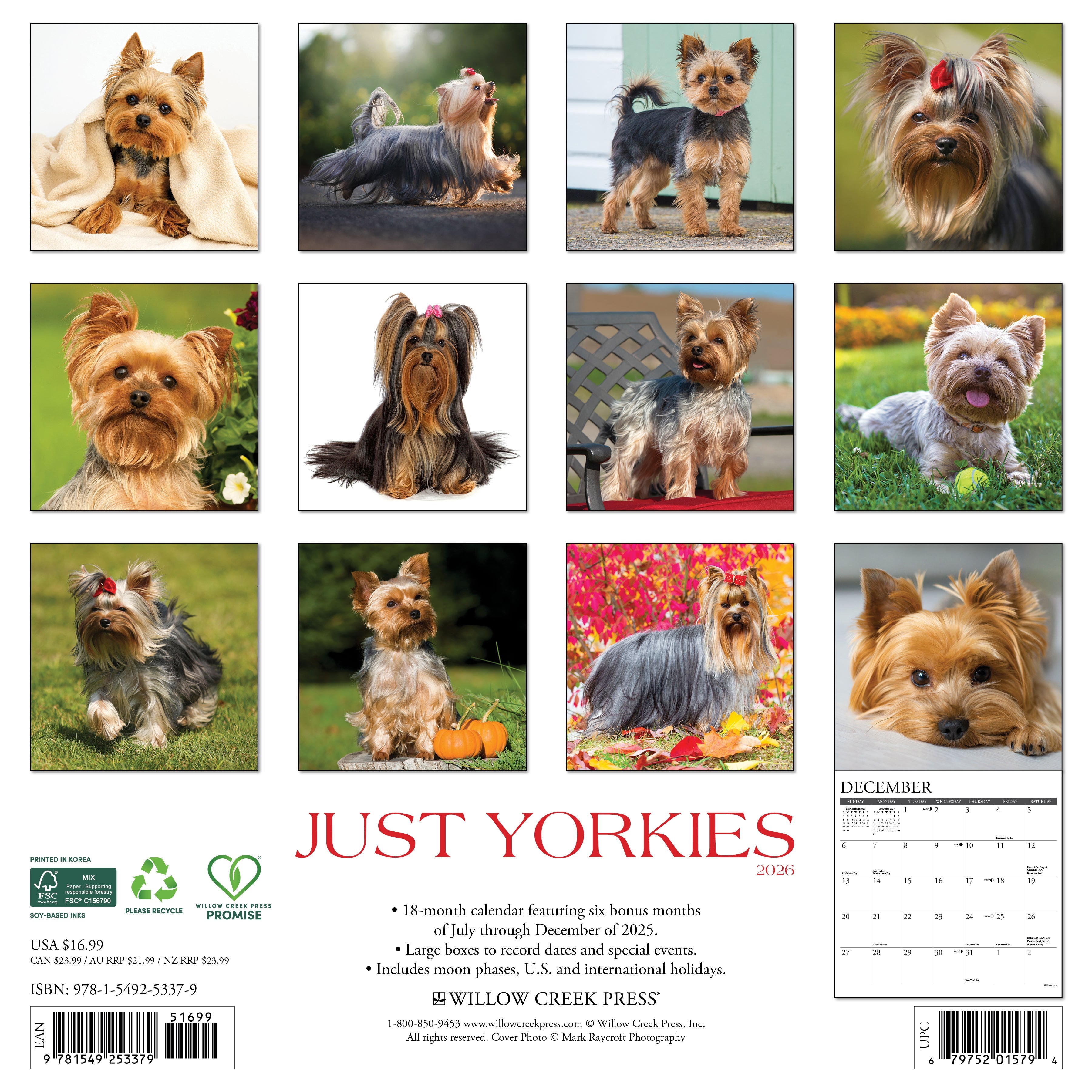 Dog-themed 2026 wall calendar for home or office with large monthly grids