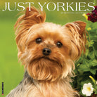 Yorkies 2026 wall calendar, 12x12 inches with cute Yorkie dog photos