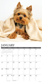 2026 wall calendar with Yorkie dog images for planning and note-taking