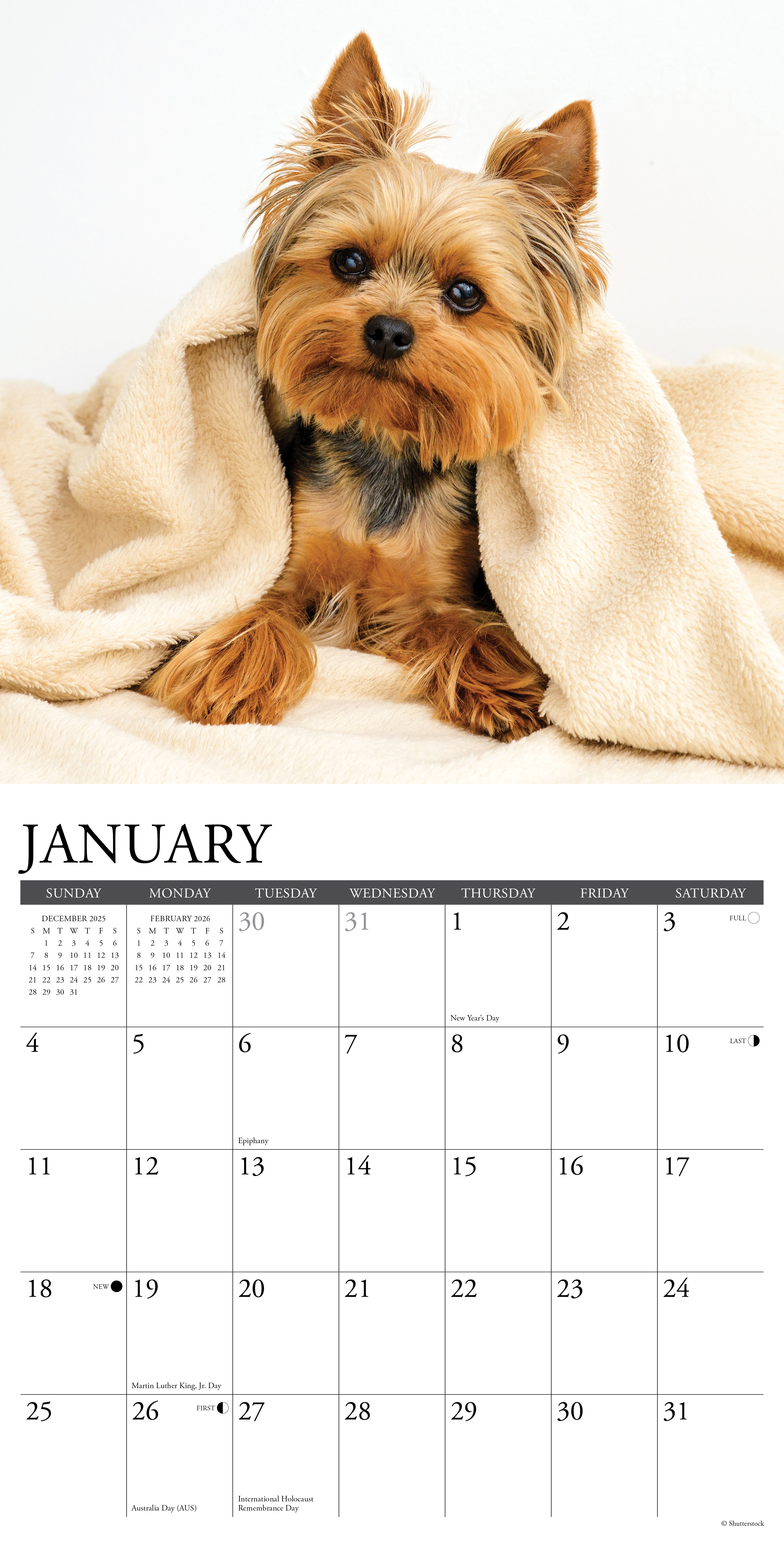 2026 wall calendar with Yorkie dog images for planning and note-taking