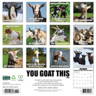 Funny 2026 wall calendar for home or office with large monthly grids