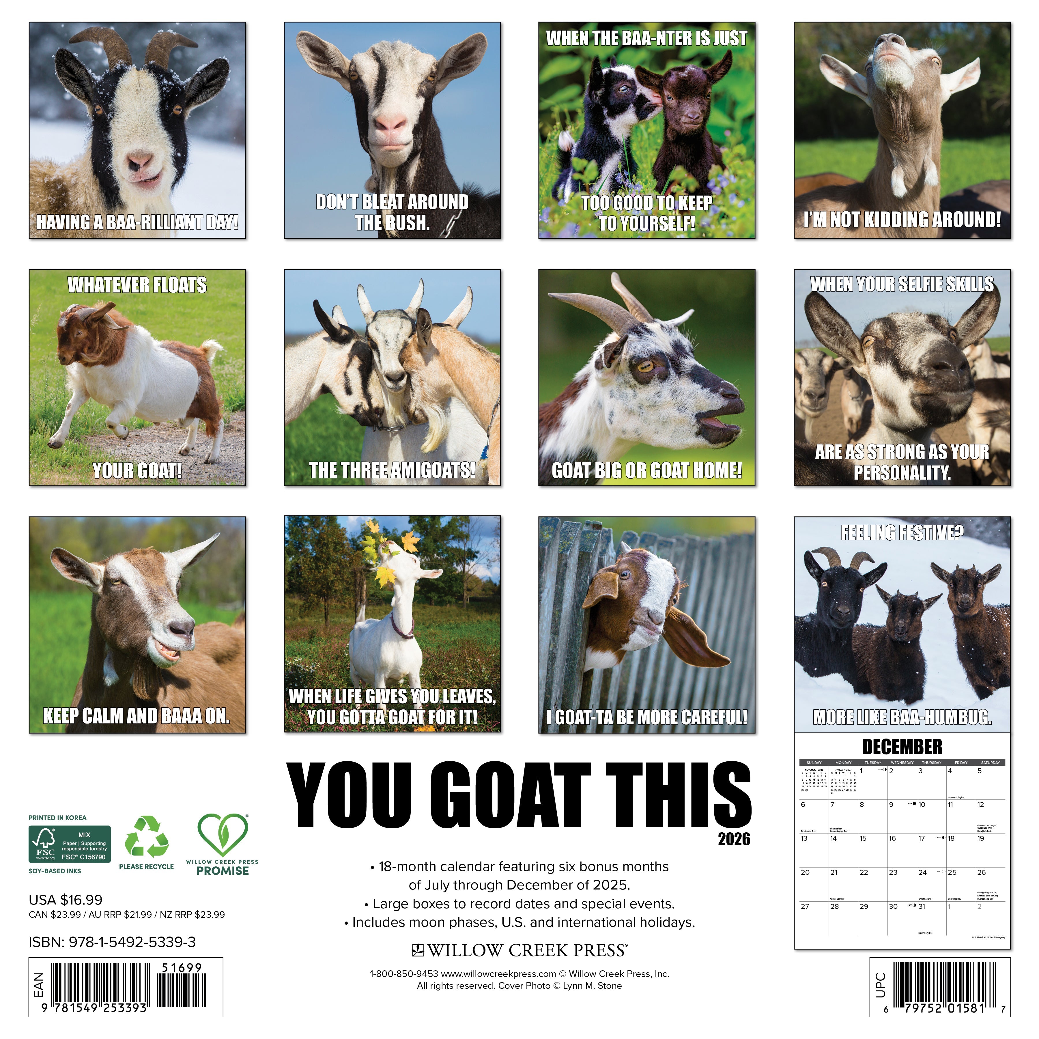 Funny 2026 wall calendar for home or office with large monthly grids