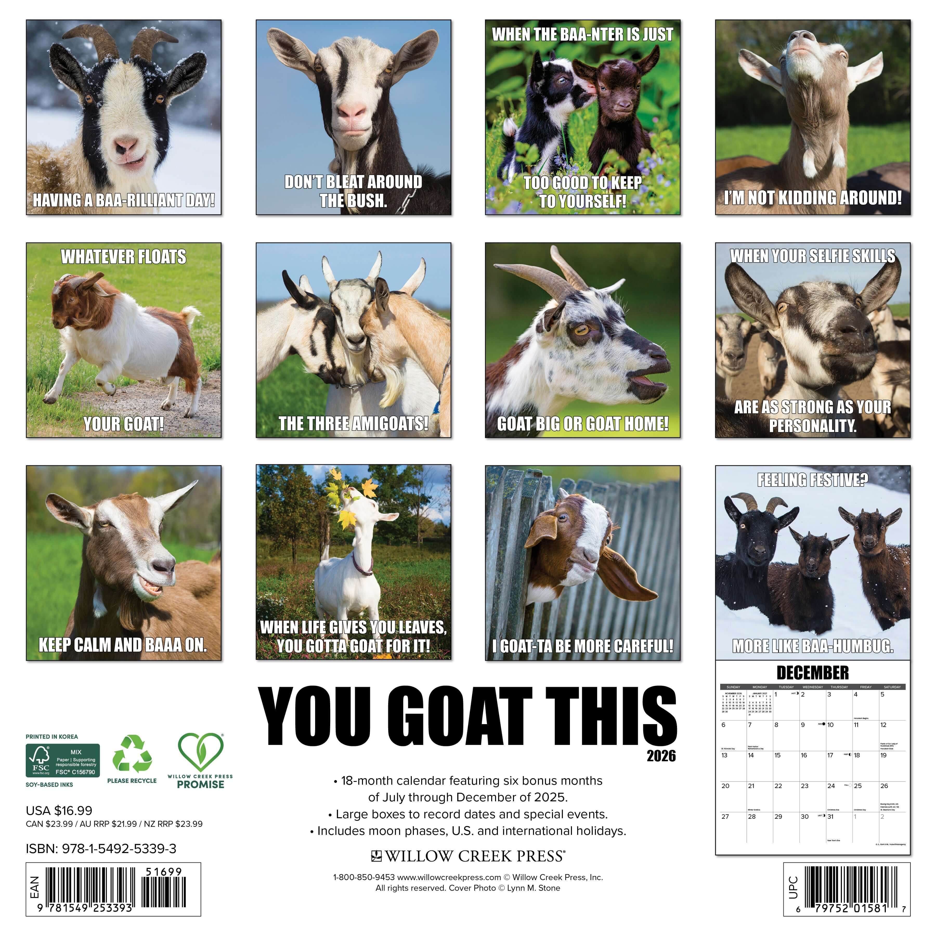 Funny 2026 wall calendar for home or office with large monthly grids