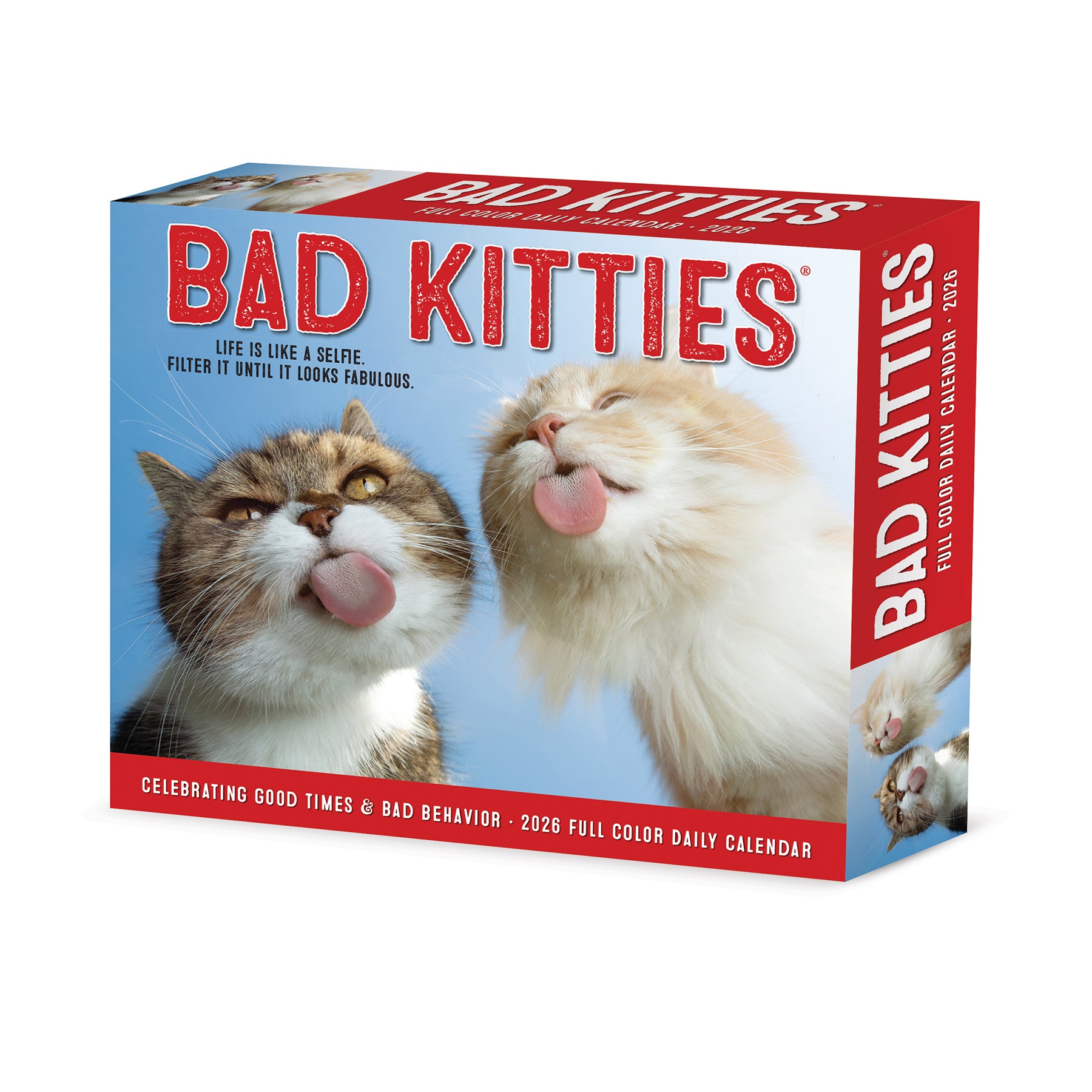 Bad Kitties 2026 Daily Box Calendar featuring playful cats on the cover, perfect for daily organization and humor.