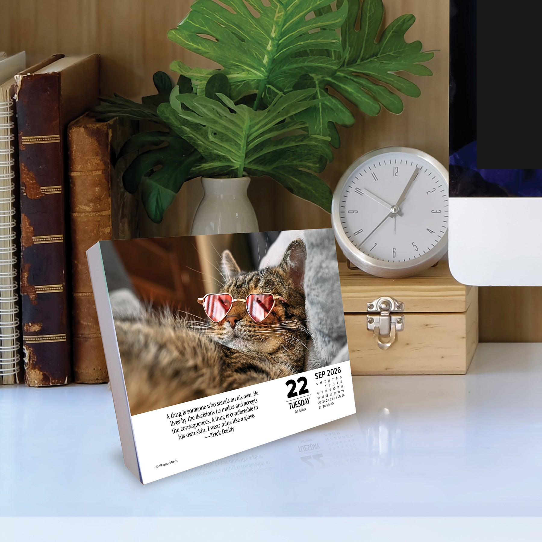 Cute cat in sunglasses featured on the 2026 Daily Box Calendar, displayed with a plant and clock.