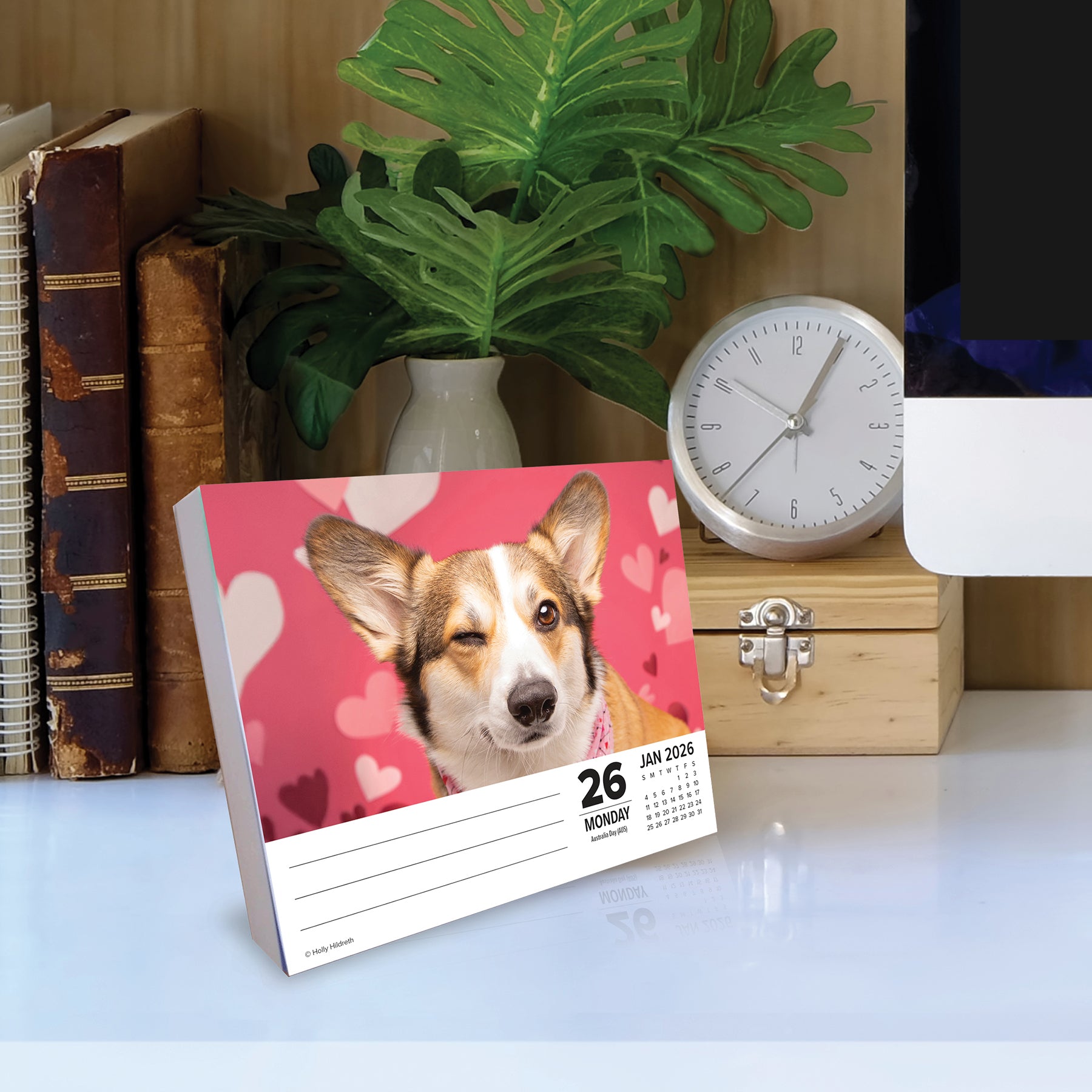 Corgis 2026 Daily Box Calendar displayed on a desk with a corgi photo on the cover, featuring a wink and heart background.