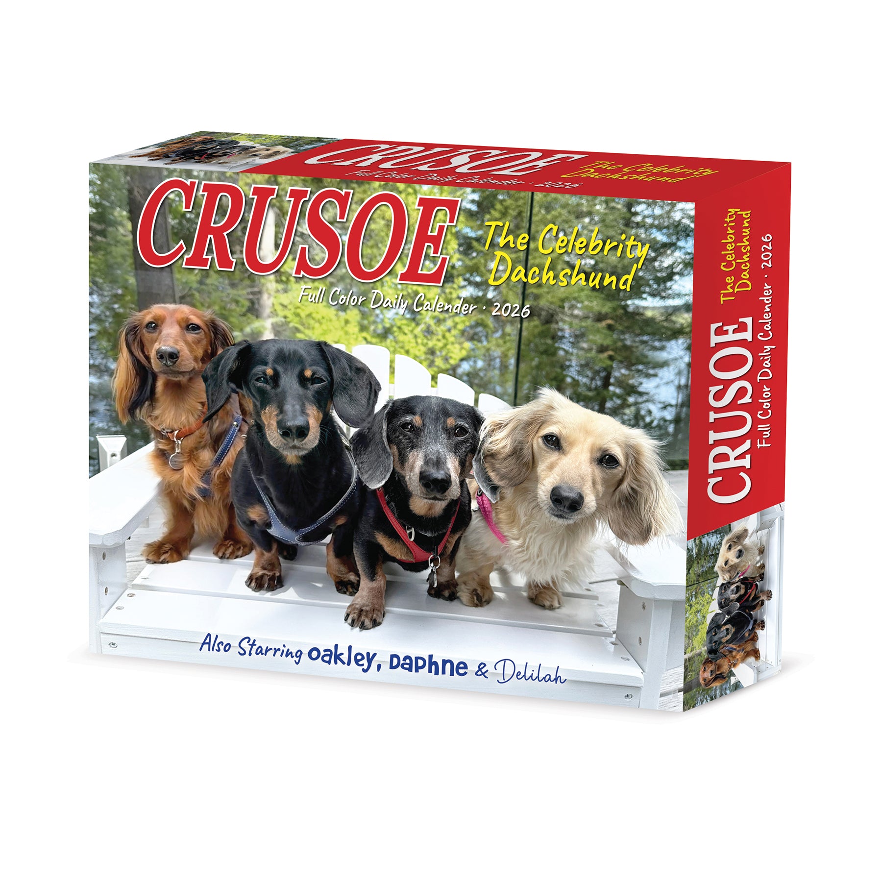 Crusoe the Celebrity Dachshund 2026 Daily Box Calendar featuring four adorable dachshunds.
