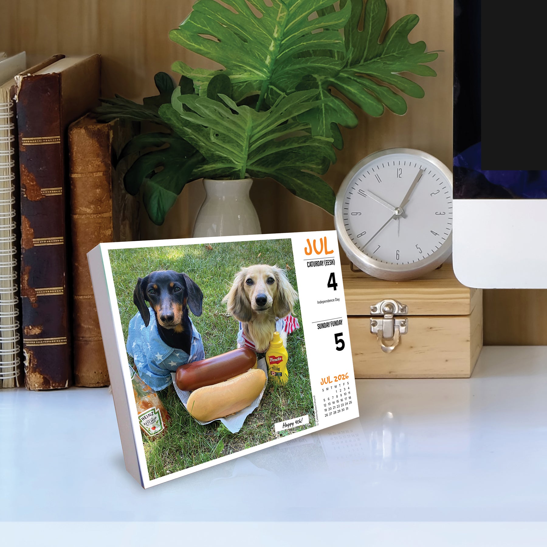 2026 Daily Box Calendar featuring Crusoe the Celebrity Dachshund and a friend, showcasing an adorable July scene with hotdog.