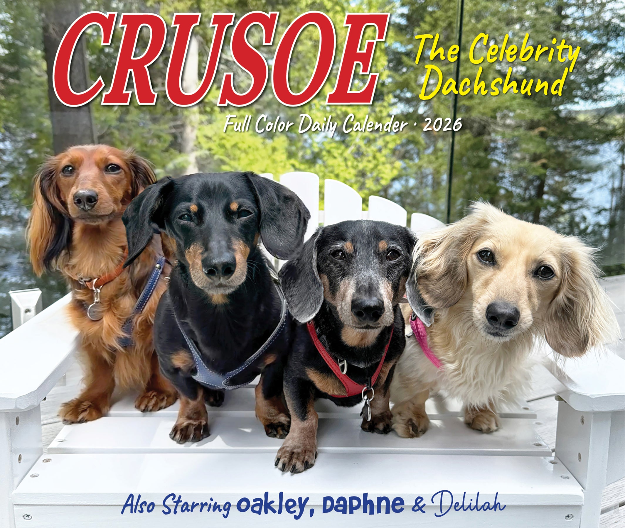 Crusoe the Celebrity Dachshund 2026 Daily Box Calendar featuring four adorable dachshunds on a chair.