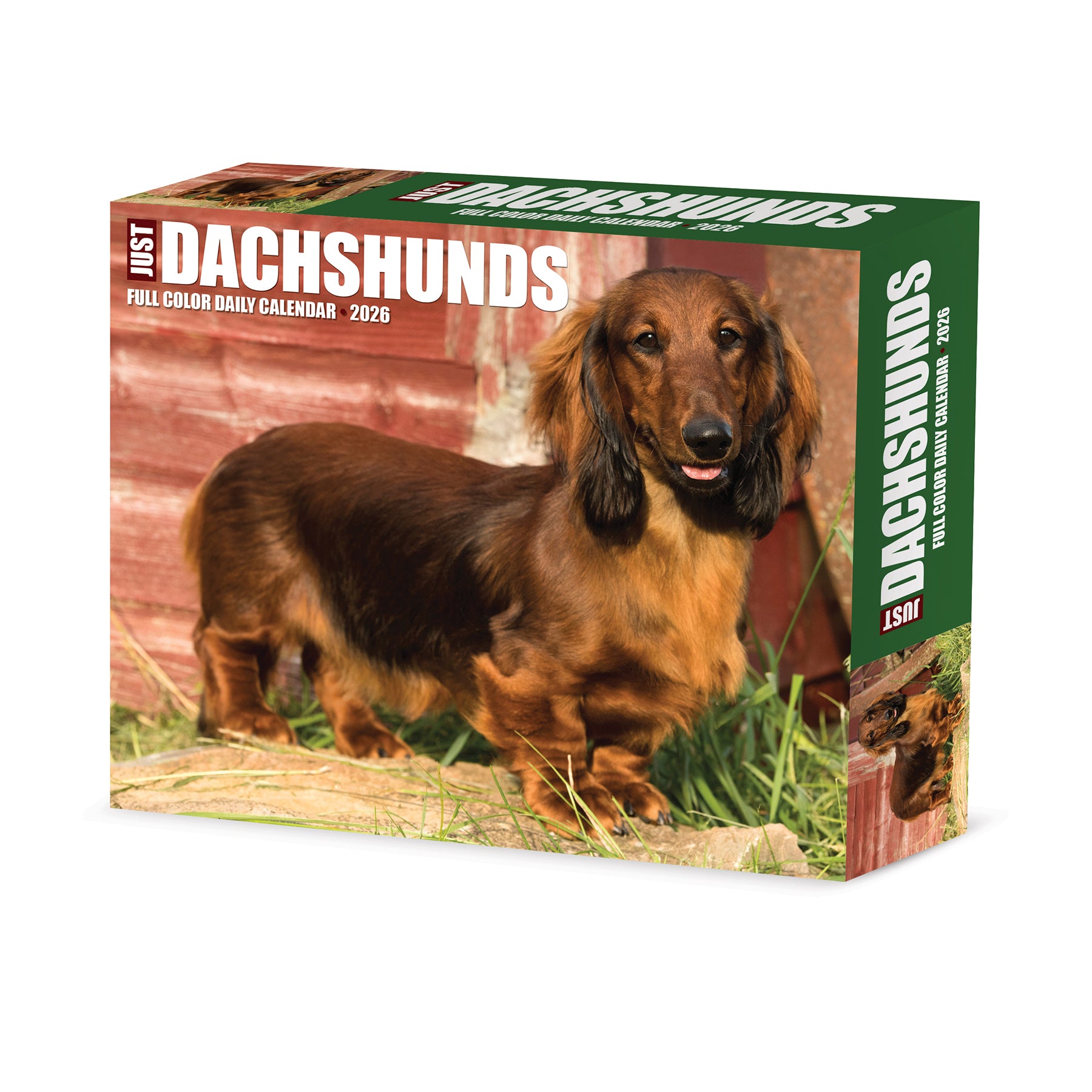 Dachshunds 2026 Daily Box Calendar with adorable dog design, perfect for organizing your year.