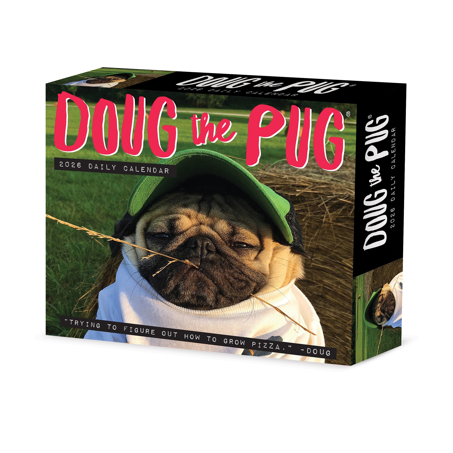 Doug the Pug 2026 Daily Box Calendar with a pug wearing a green hat and a humorous slogan.