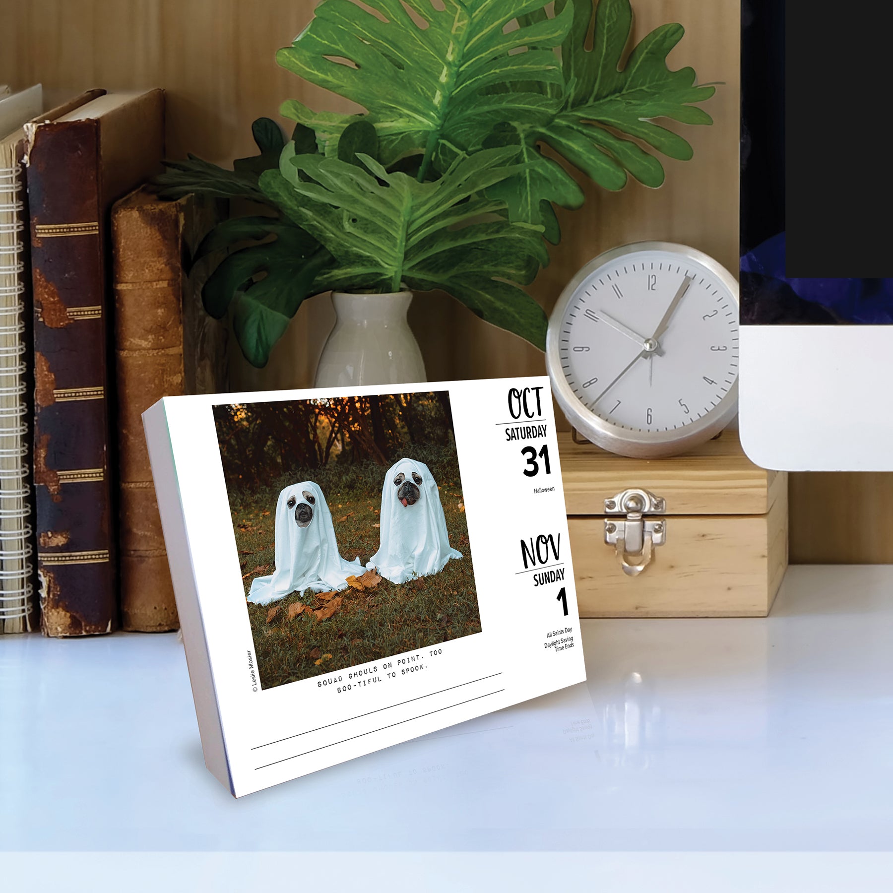 2026 Daily Box Calendar featuring playful dogs dressed as ghosts for Halloween, sitting on a desk with greenery and books.
