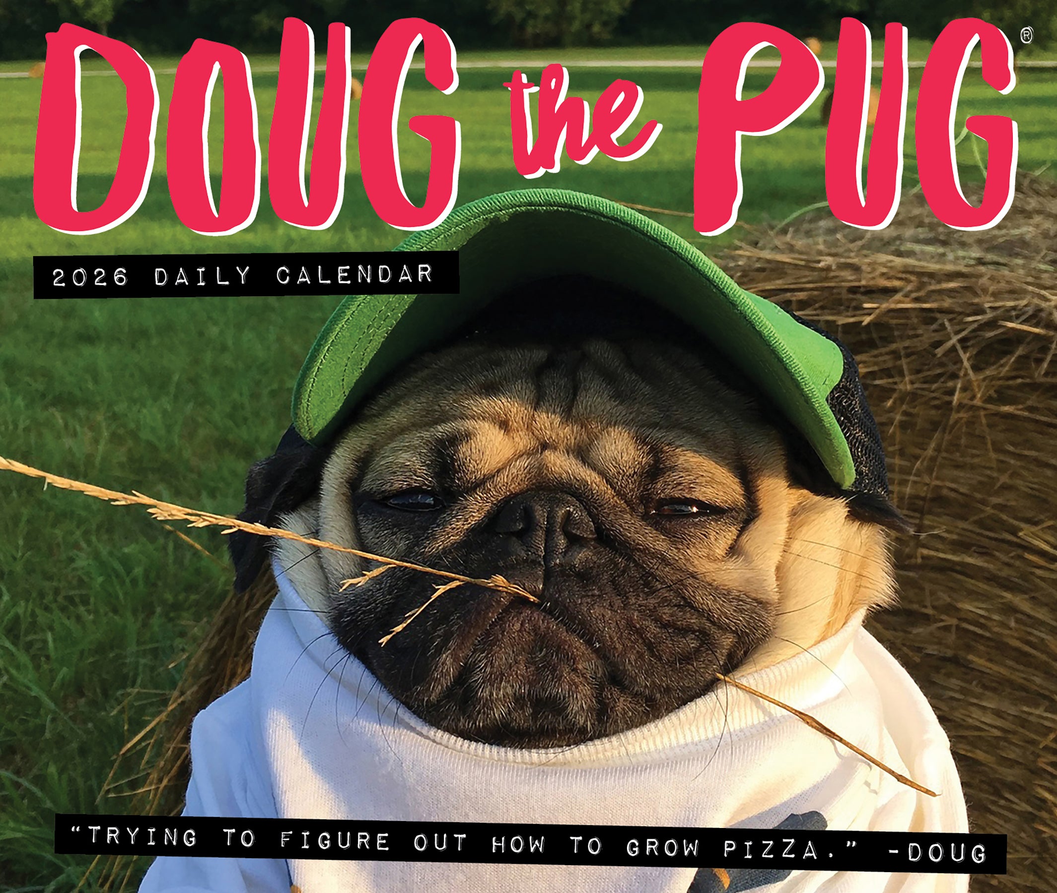 Doug the Pug 2026 Daily Box Calendar cover featuring a pug with a straw, humorously contemplating pizza.