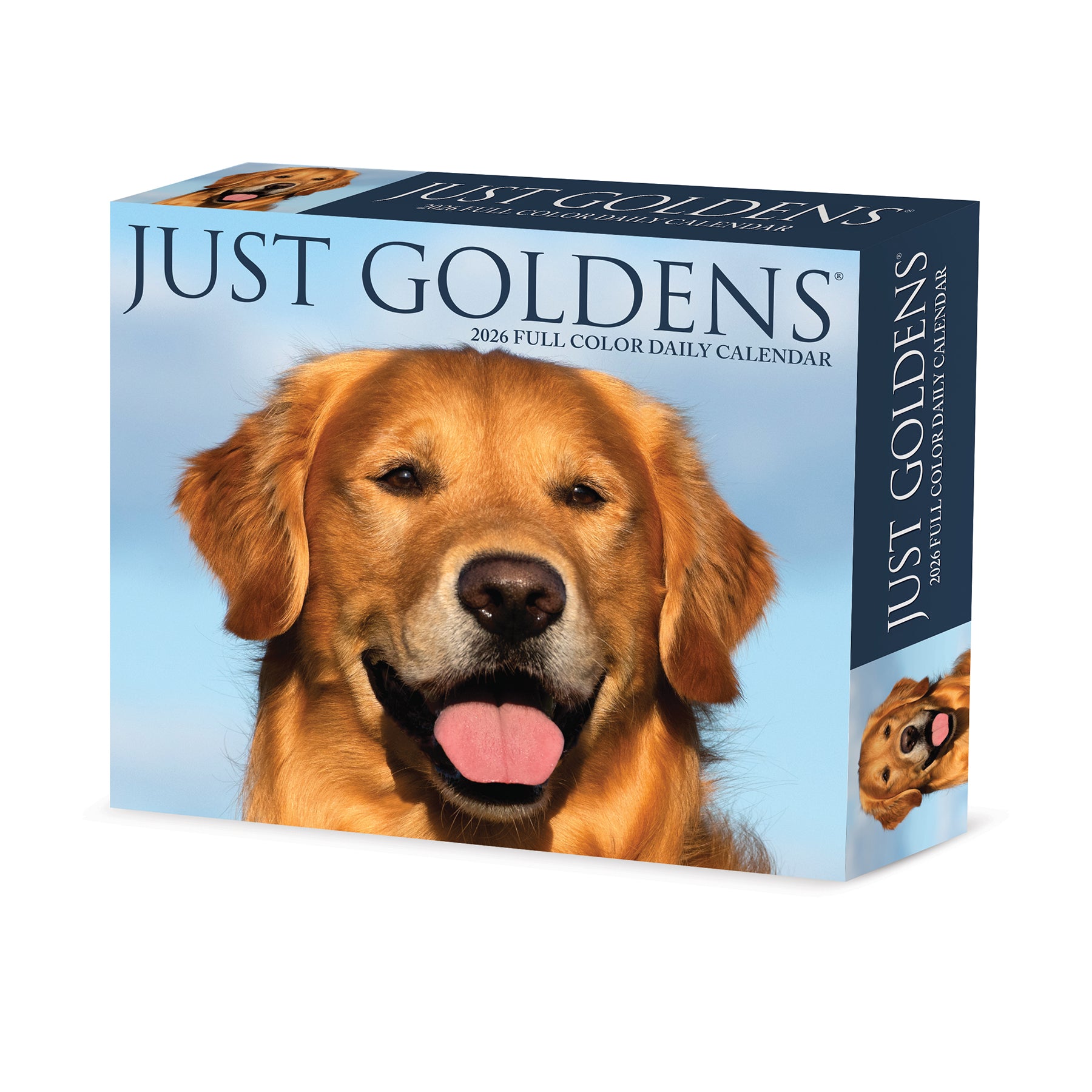 2026 Daily Box Calendar featuring a cheerful Golden Retriever on the cover, perfect for organizing daily plans.