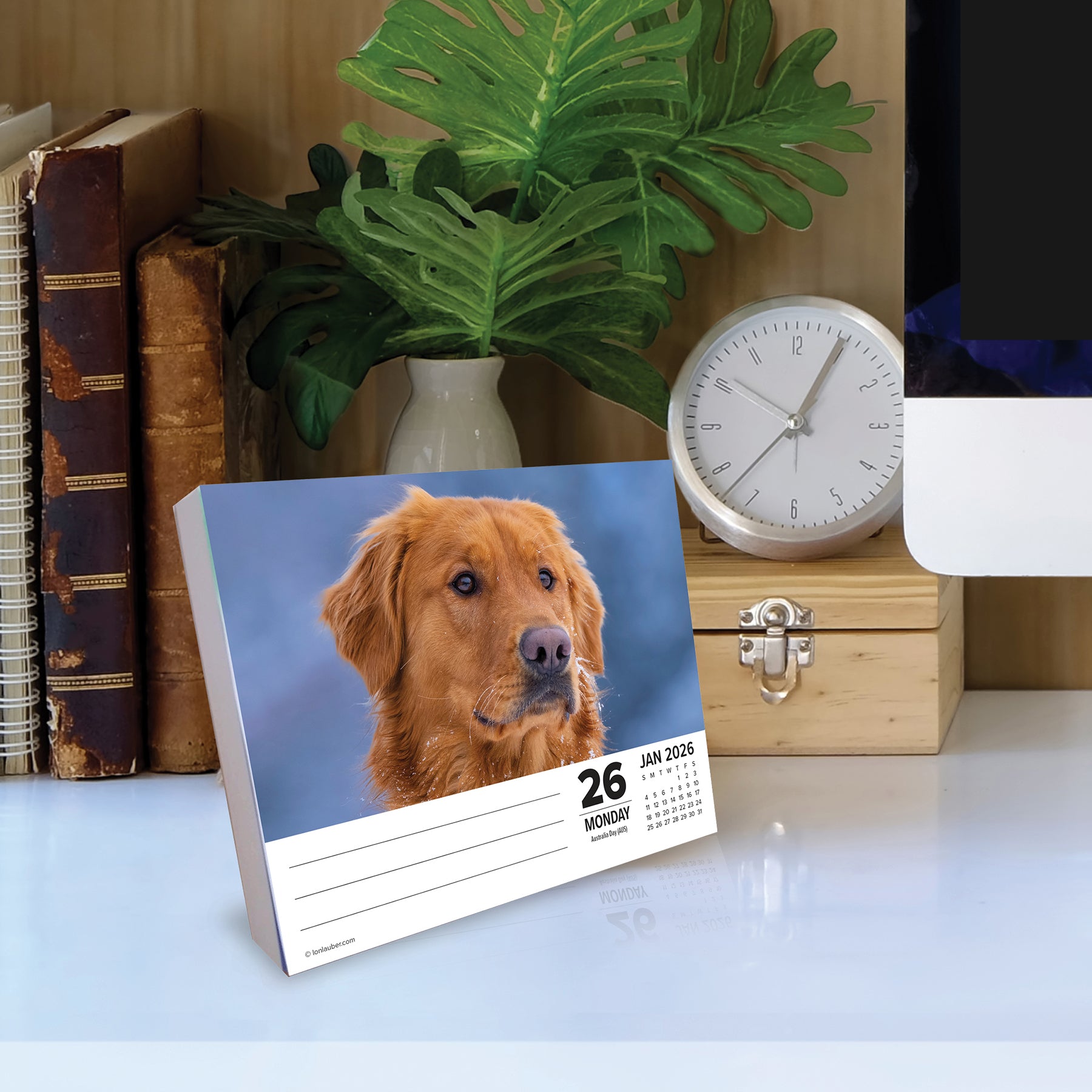 2026 Daily Box Calendar featuring a golden retriever on January 26, 2026, positioned on a desk with books and a clock.
