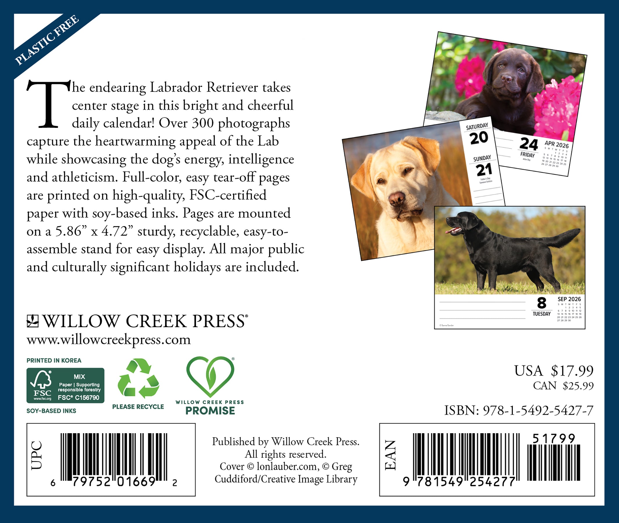 2026 Daily Box Calendar featuring lovable Labrador Retrievers with colorful pages and easy tear-off design.