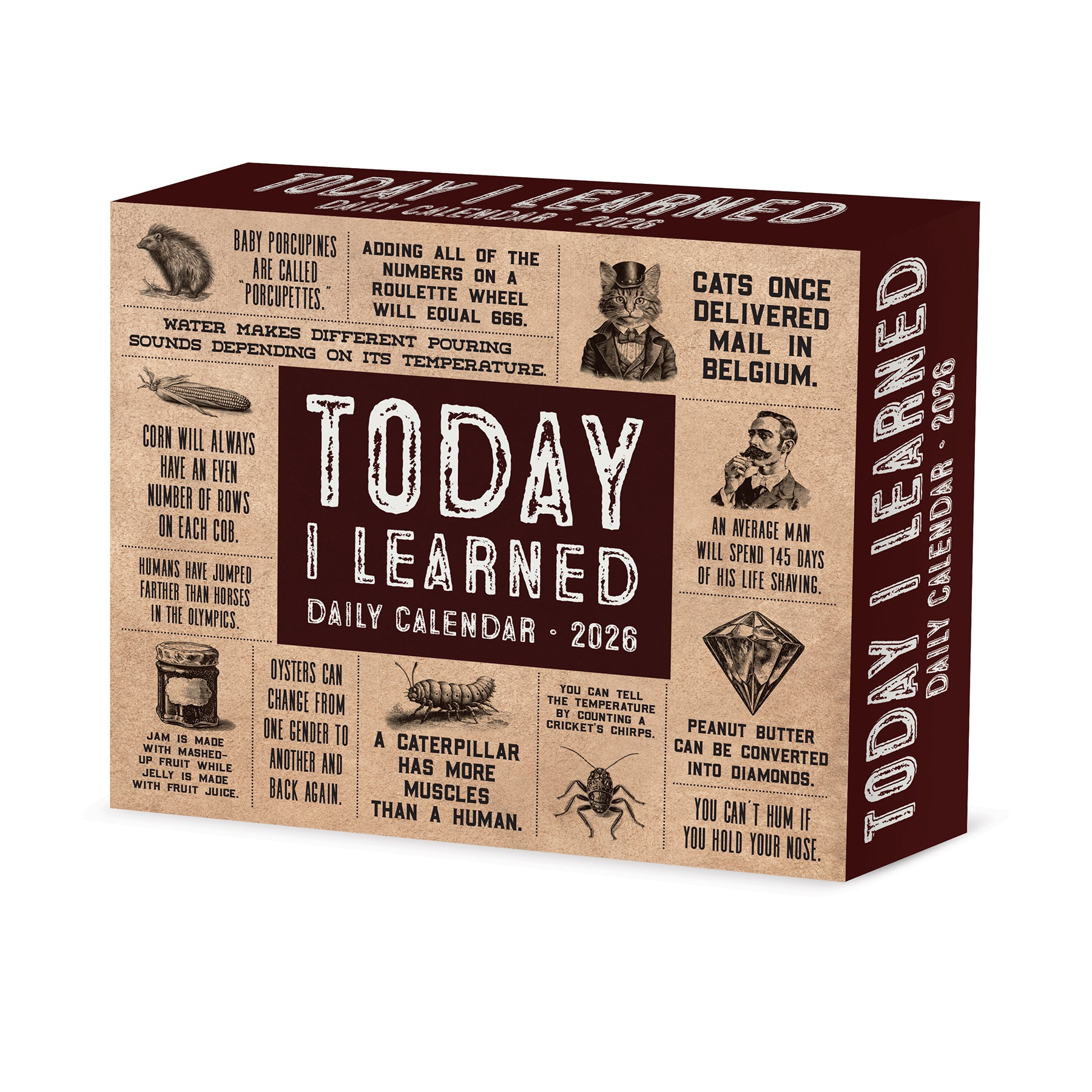2026 Daily Box Calendar featuring fun facts and engaging designs for daily inspiration.